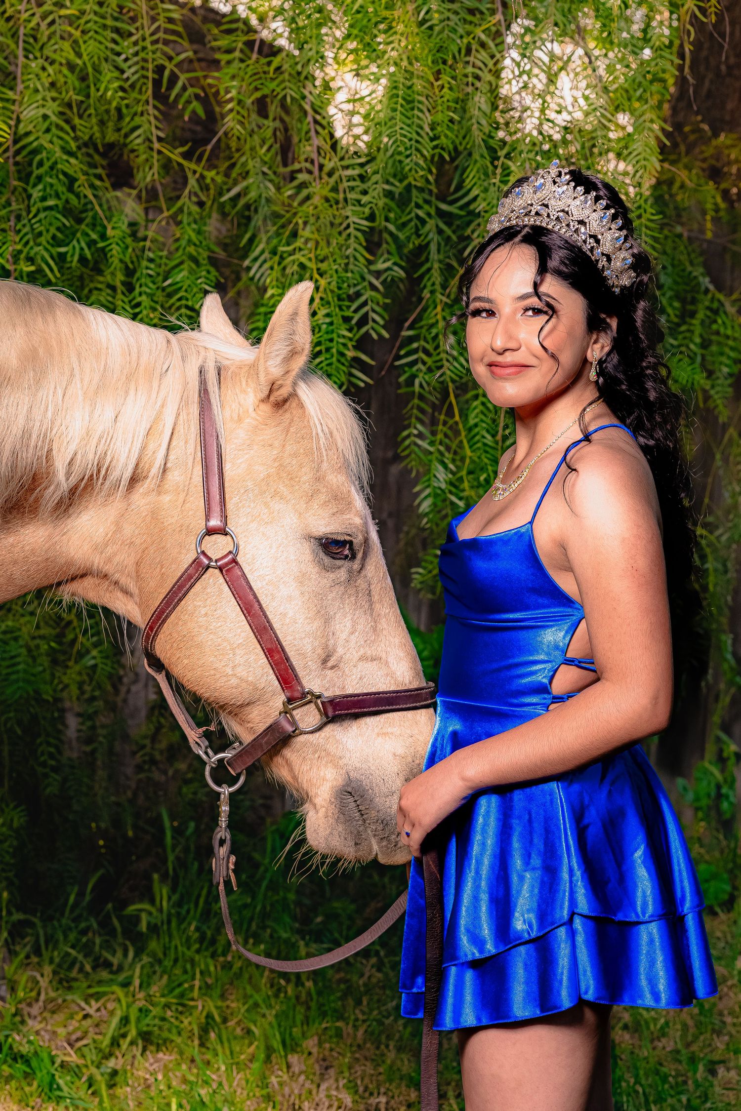 Outdoor portrait with a palomino horse featuring a blue satin dress and crown.