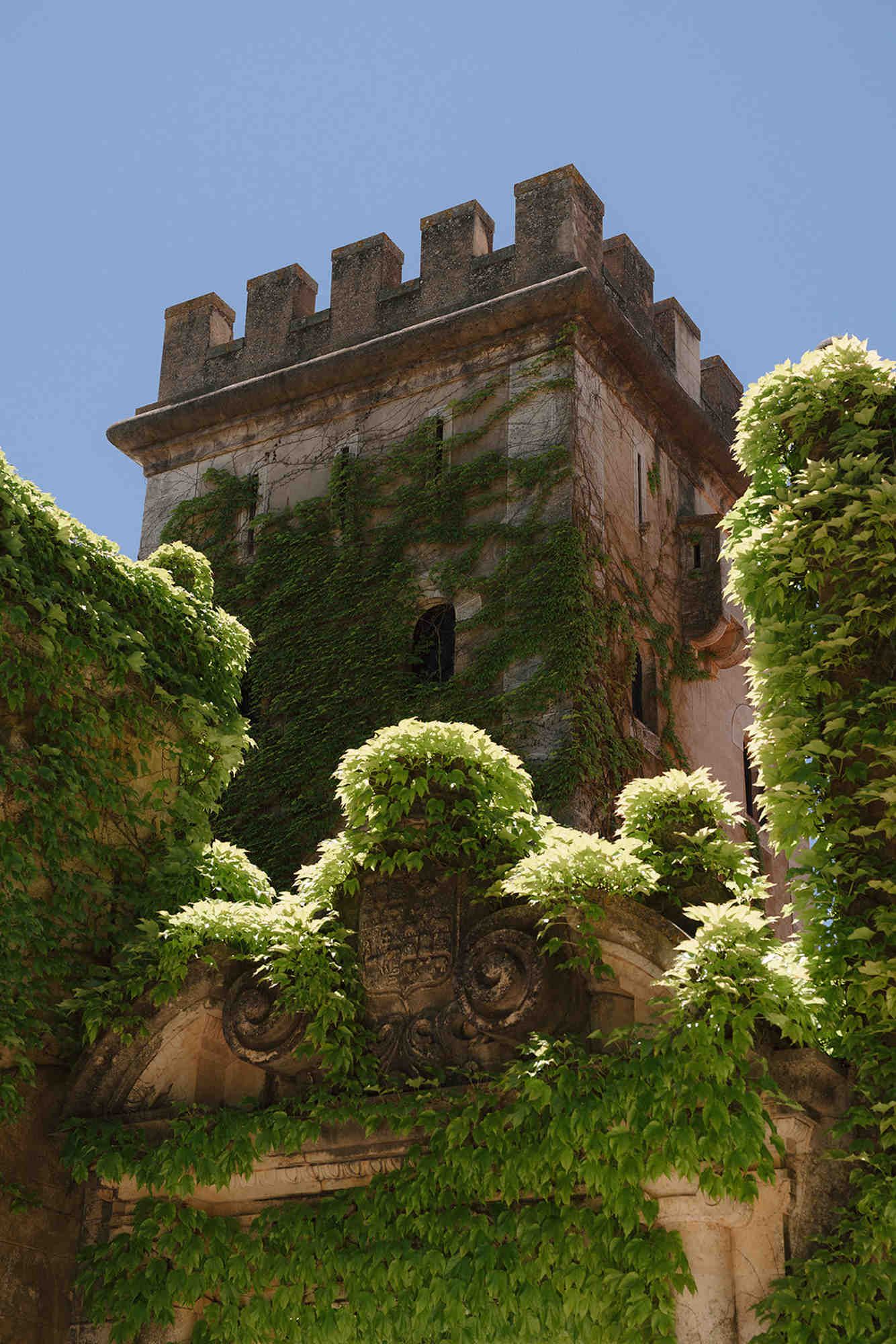 Close-up of the historic noble facade at Finca Torrefiel wedding venue in Spain, covered in beautiful green vineyards.