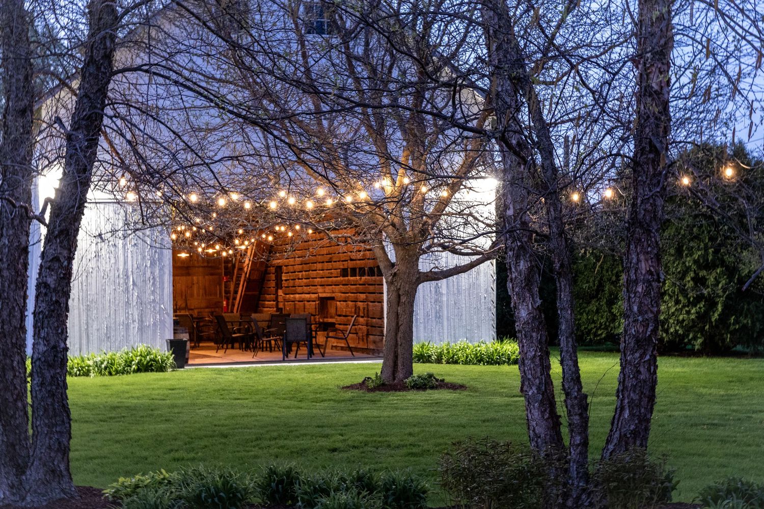 Rustic barn venue with string lights illuminating trees at dusk.