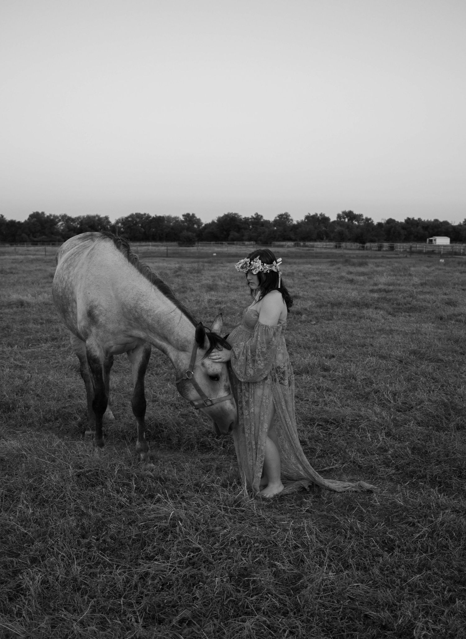A dreamy black and white scene with horses grazing in a field at dusk.