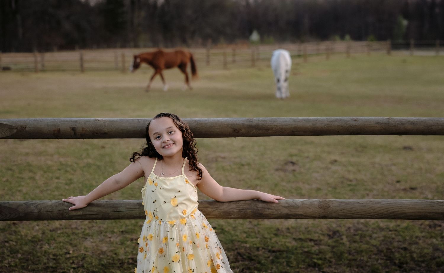 A series of candid outdoor photos showing playful moments near wooden fences and grassy fields on a sunny day.