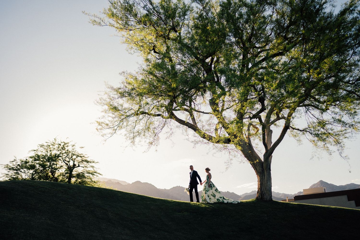 Silhouette of couple holding hands under a large tree on a hill at sunset.