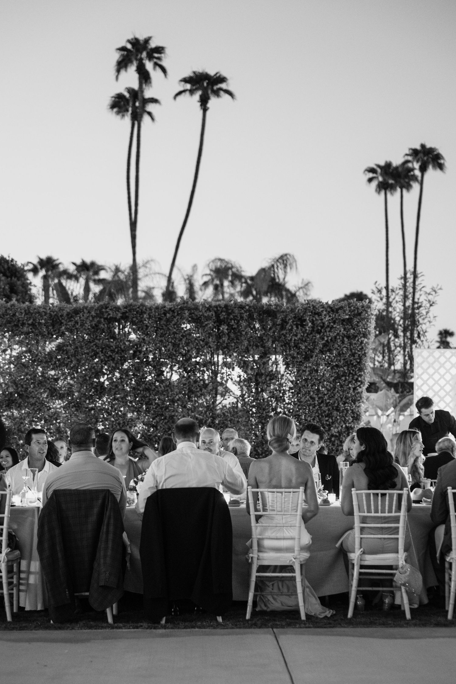 Louis Willard Photo Palm Springs Black and white photo of wedding guests dining outdoors under tall palm trees at an elegant reception.