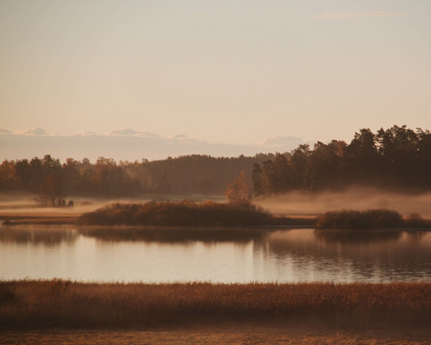 Mjukt morgonljus ovanför Hallbosjön på Lindeborgs Eco Retreat i Nyköping