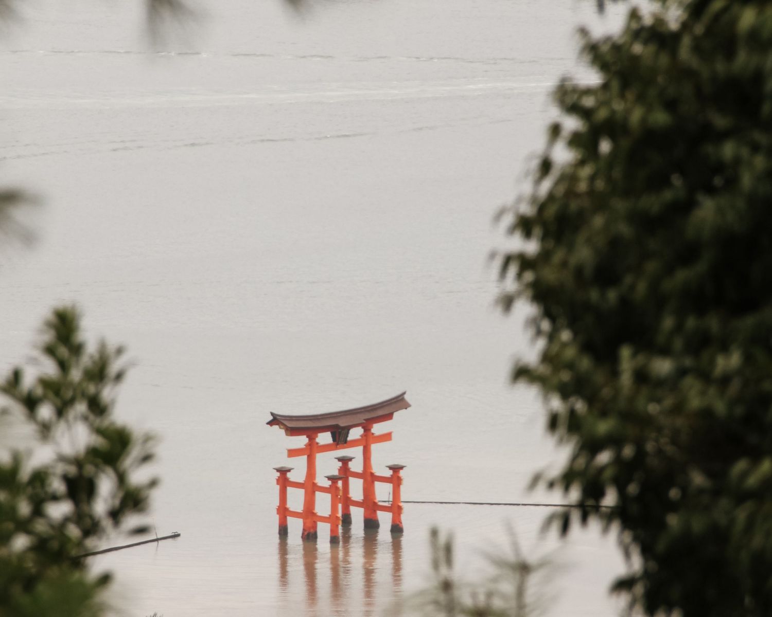 Resefotografi - en Torii-port i vattnet i Japan
