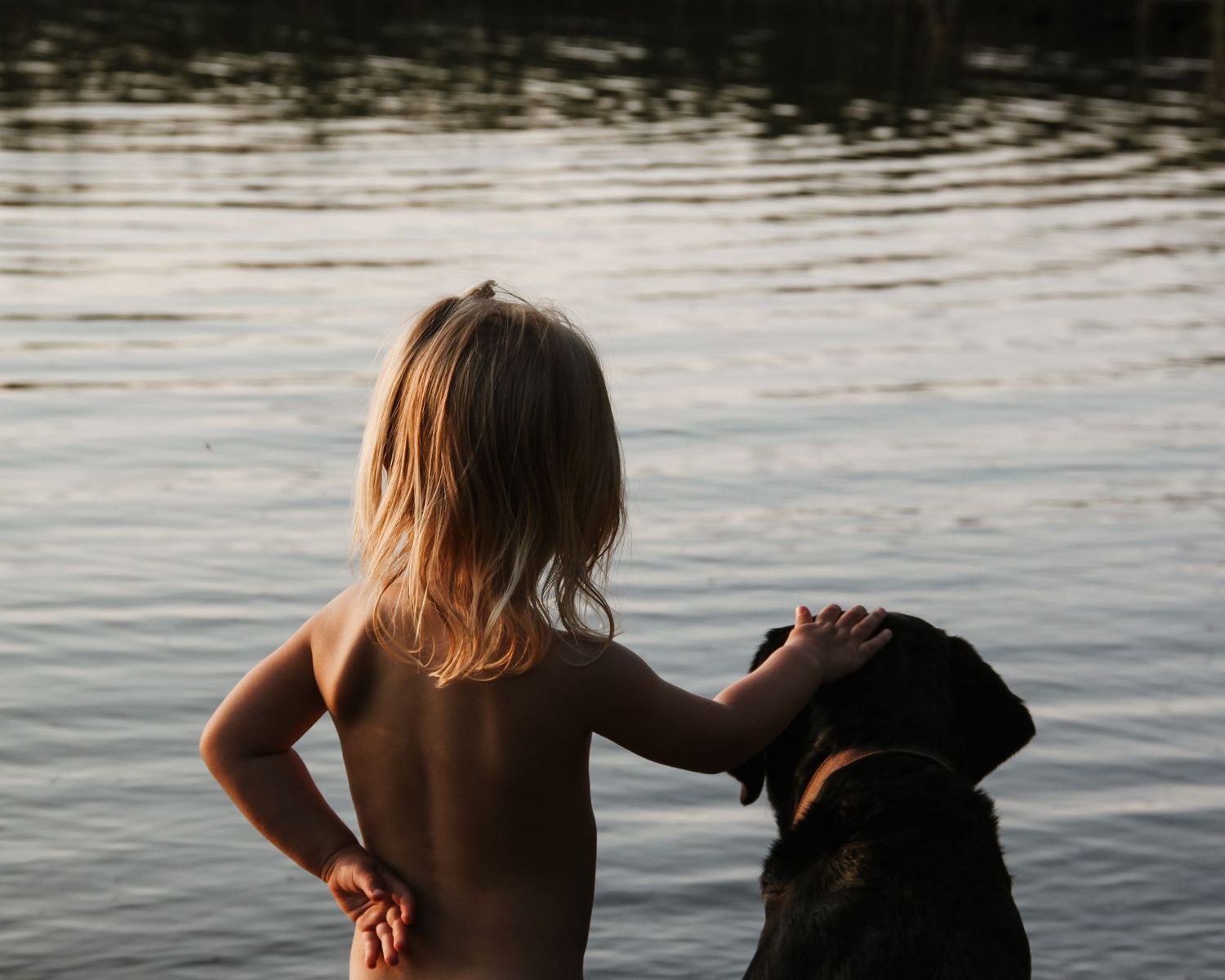 Familjefotografering - ett barn med en hund i mjukt kvällsljus