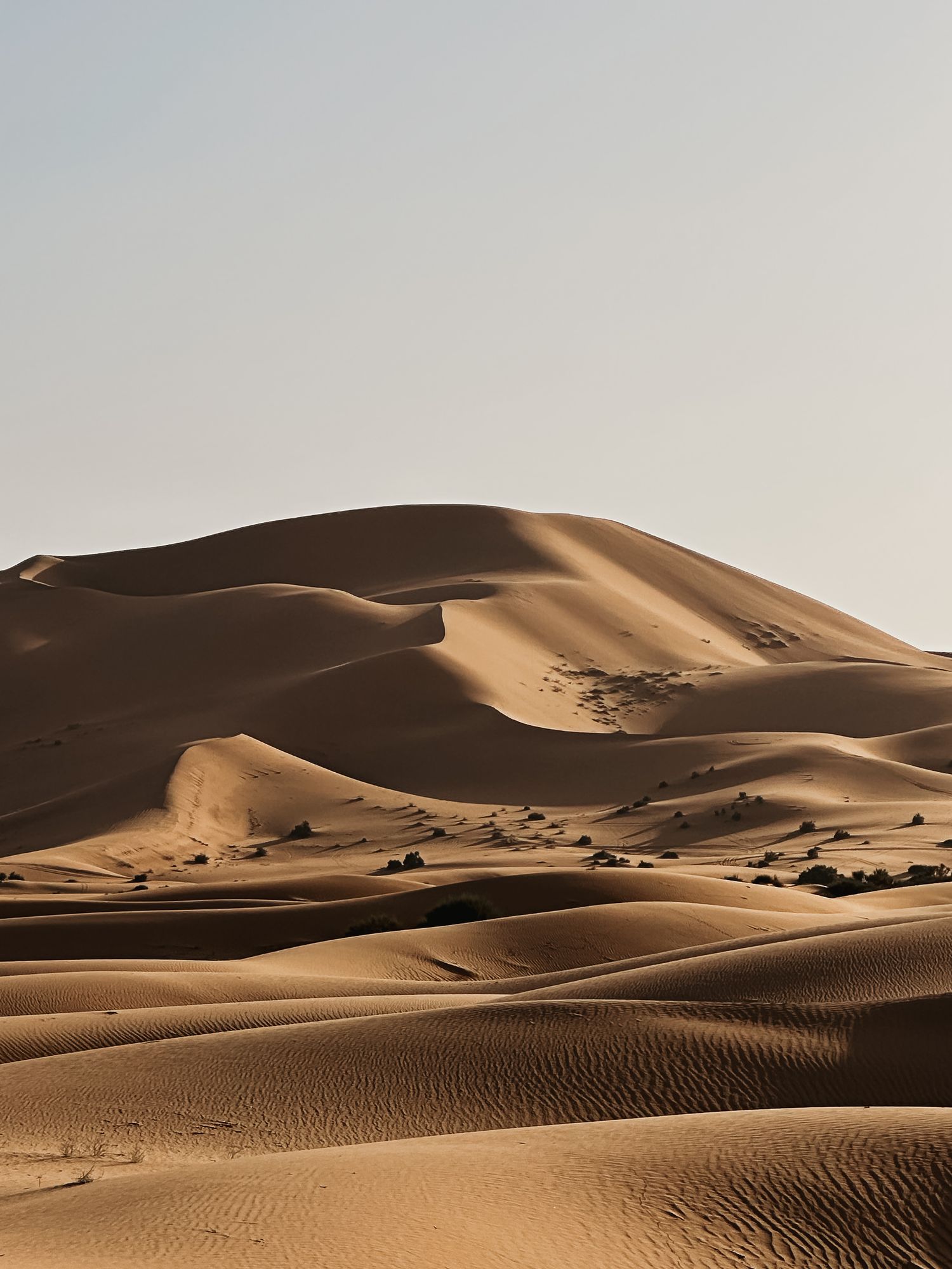 Öken i Merzouga