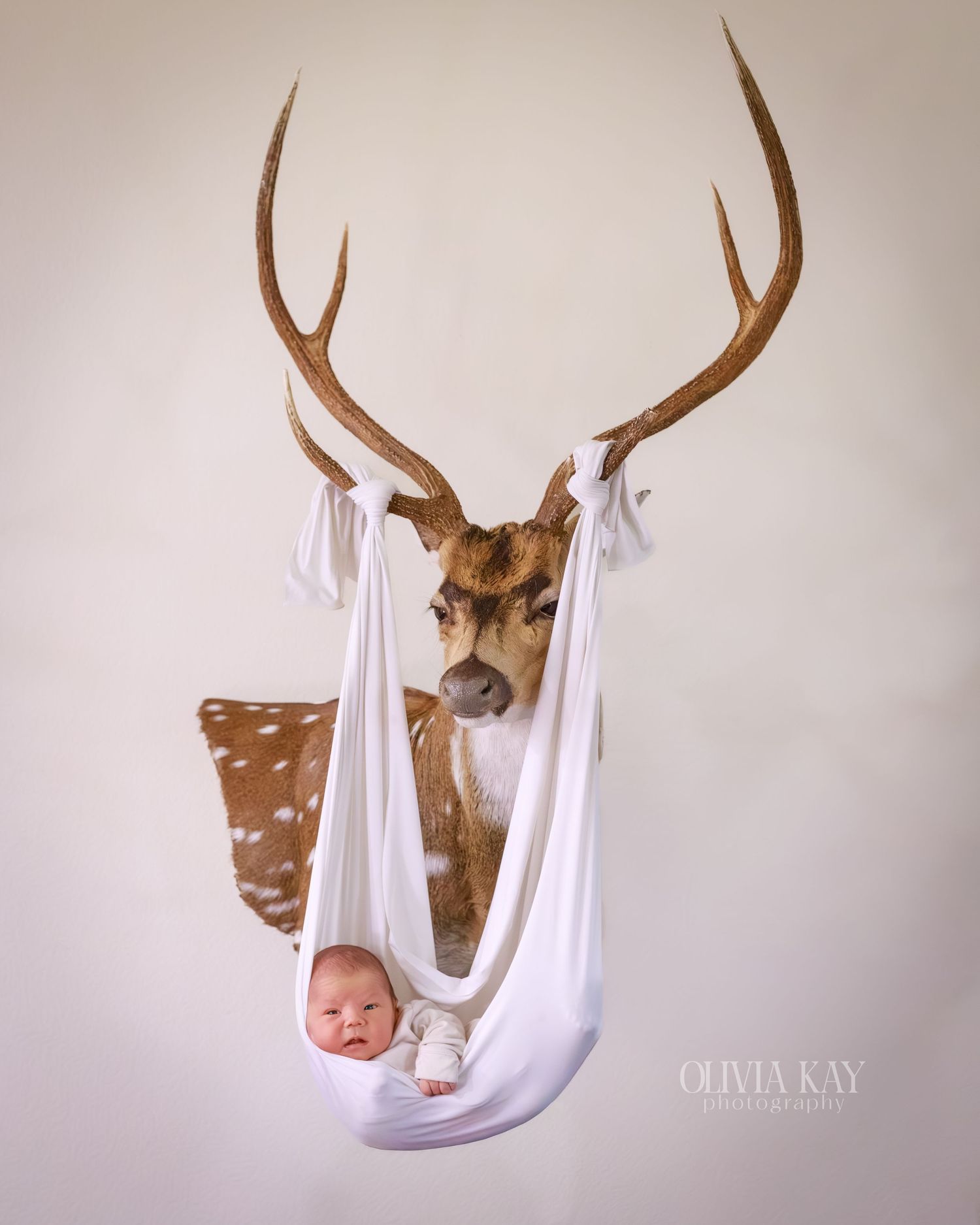 Newborn baby sleeping in a white fabric sling hung from a taxidermy deer mount on a white wall.