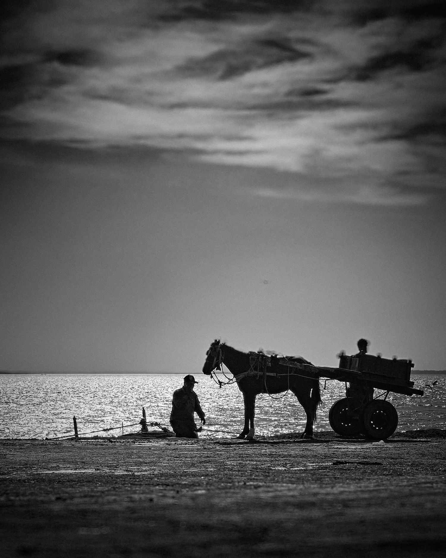 Black and white image of a man with a donkey cart at seashore.