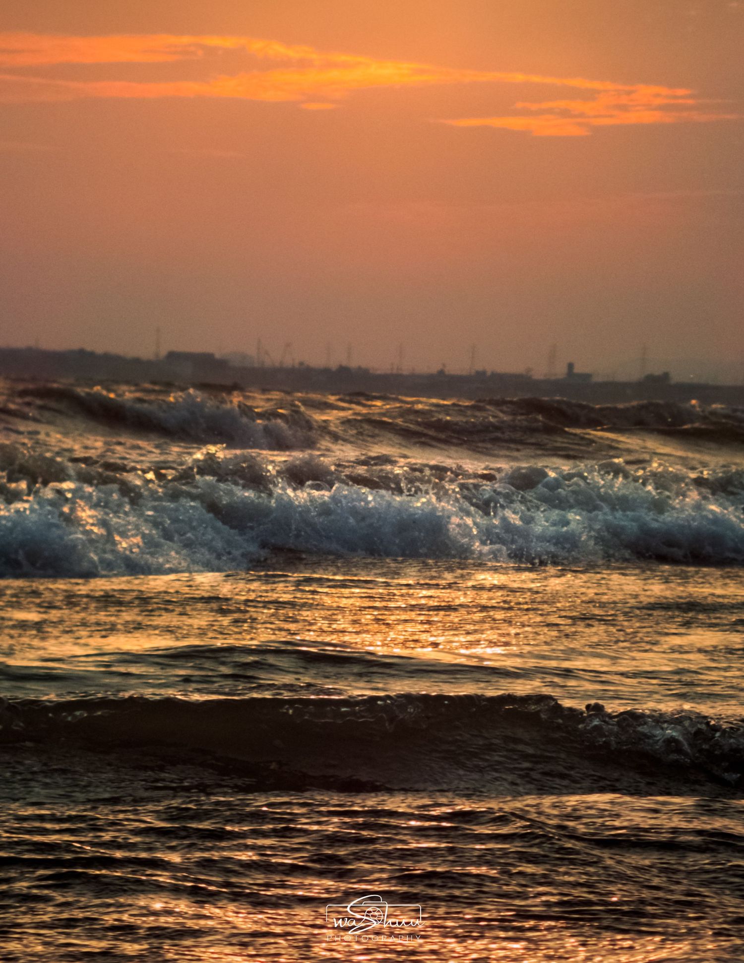 seashore.