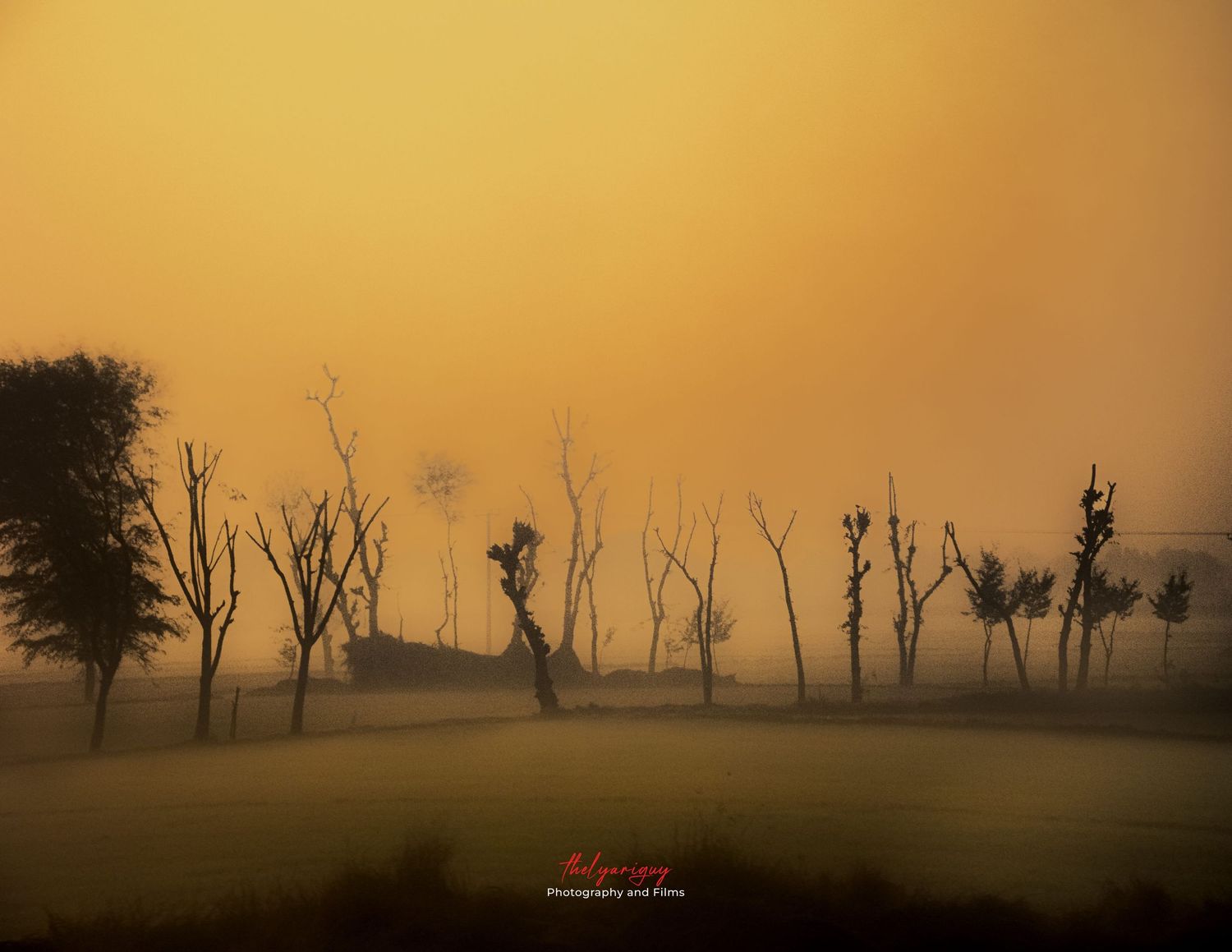 sunrise in Punjab.