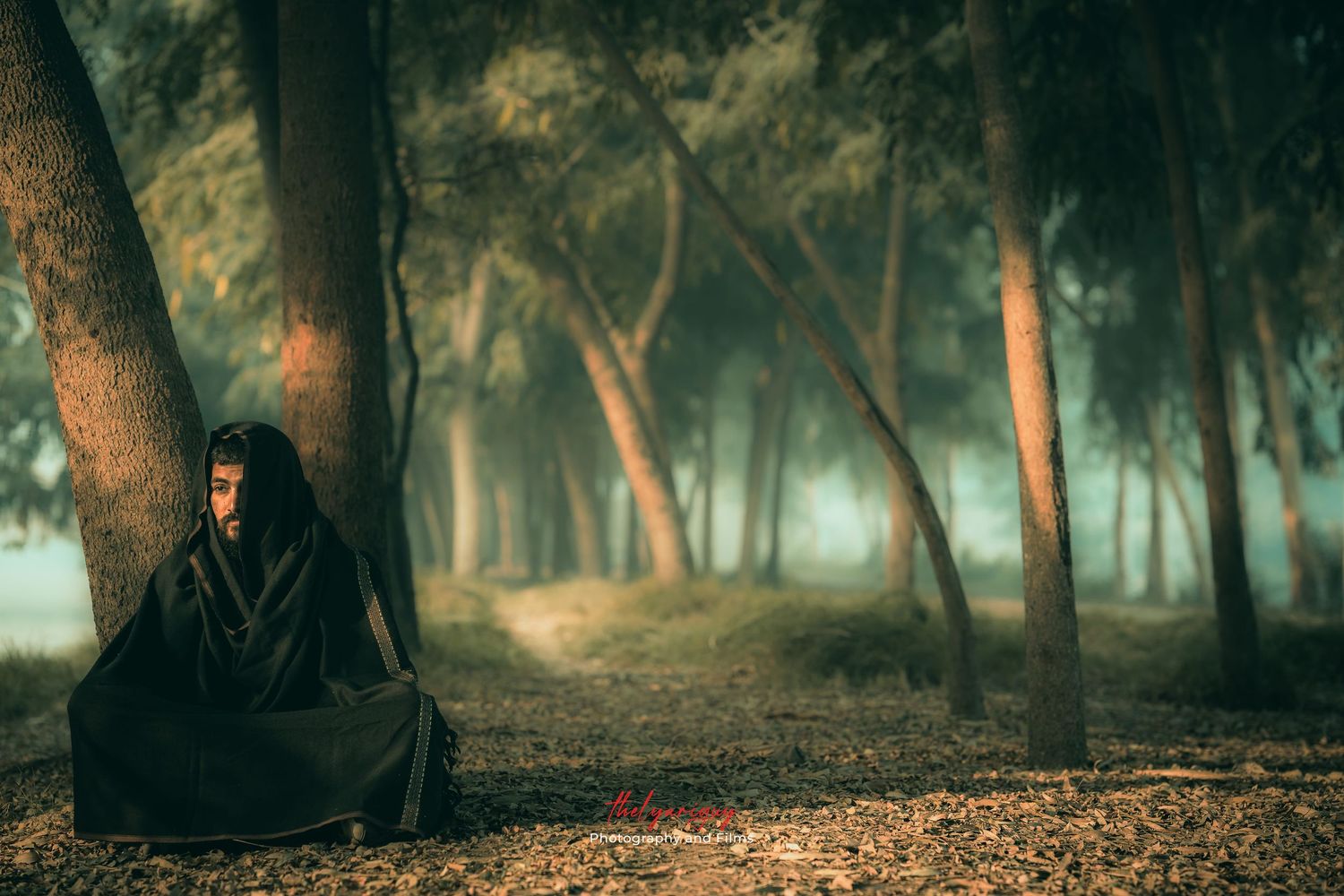 cinematic shot of a man sitting in woods.