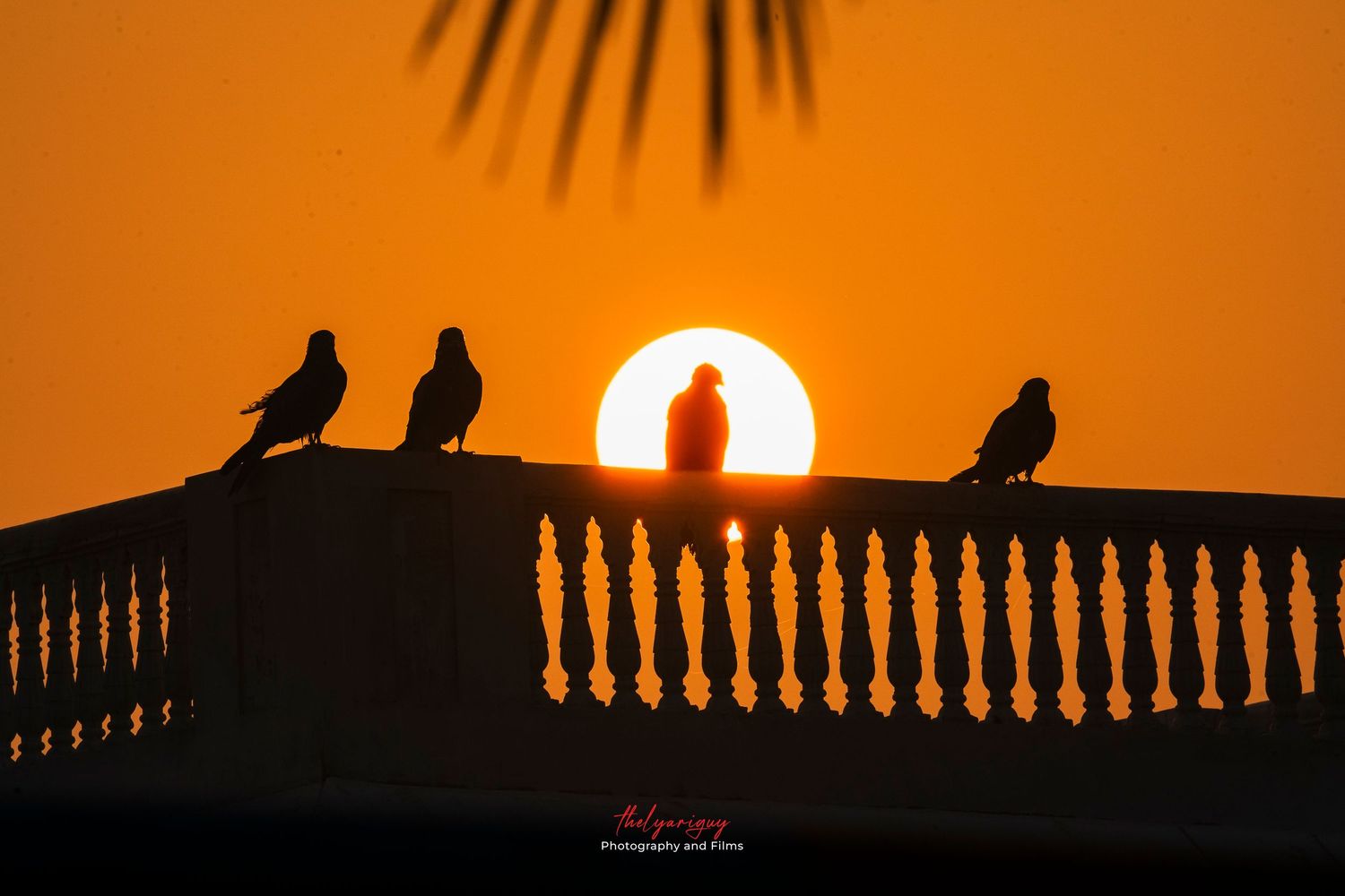 Sunrise shot.