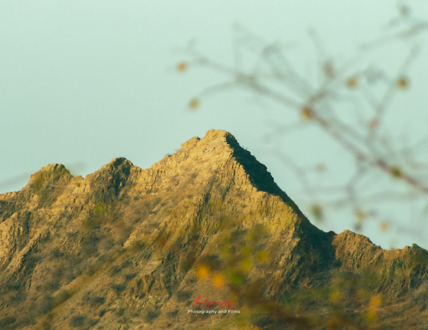 Mountain.