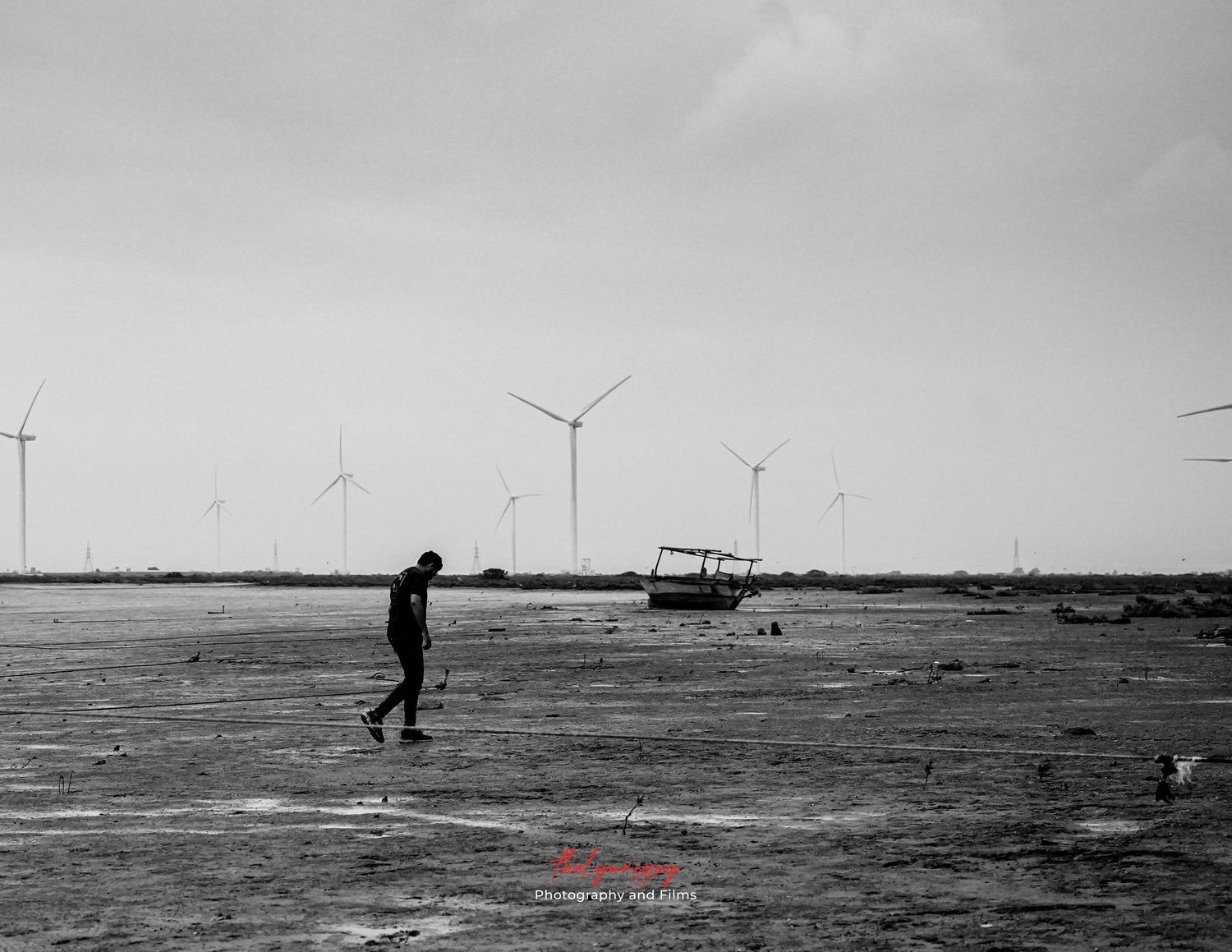 silhouette of a man walking in an open field at Keti Bandar, Sindh, Pakistan.