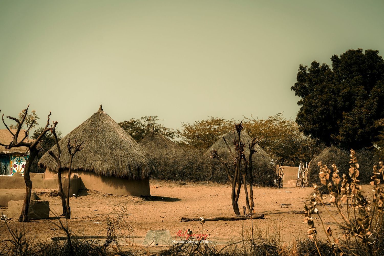 Laala Bah Village, District Umer Kot, Sindh, Pakistan.