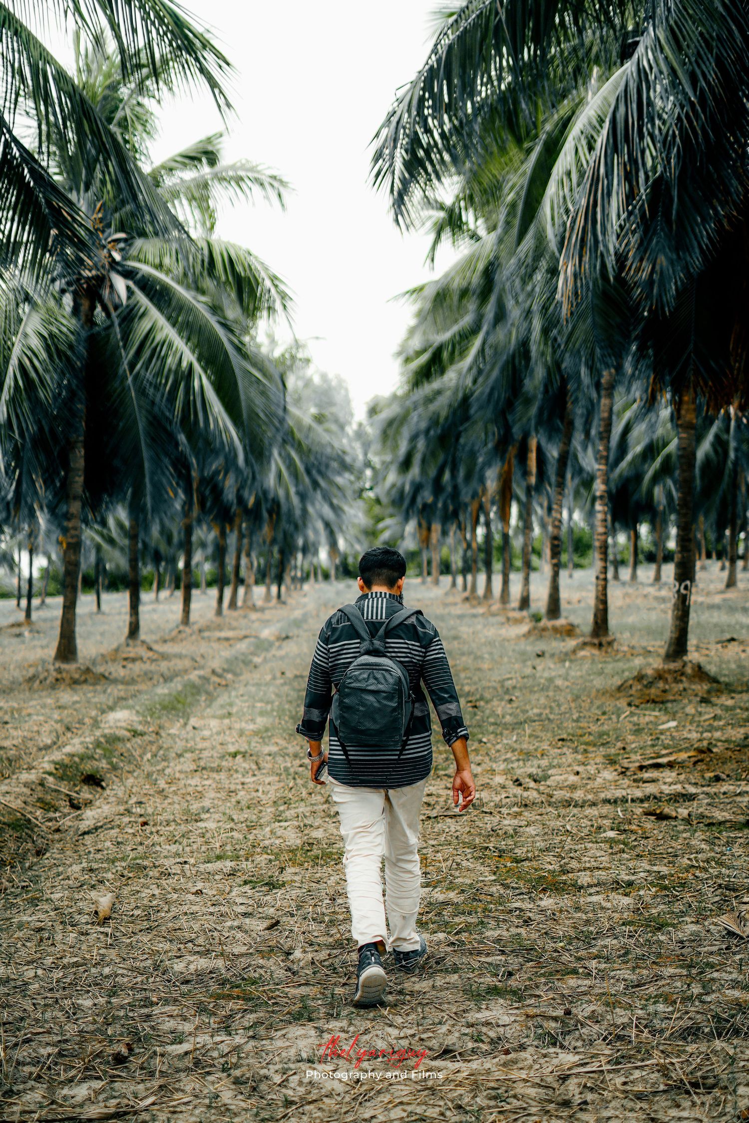 dreamy photo of a boy walking