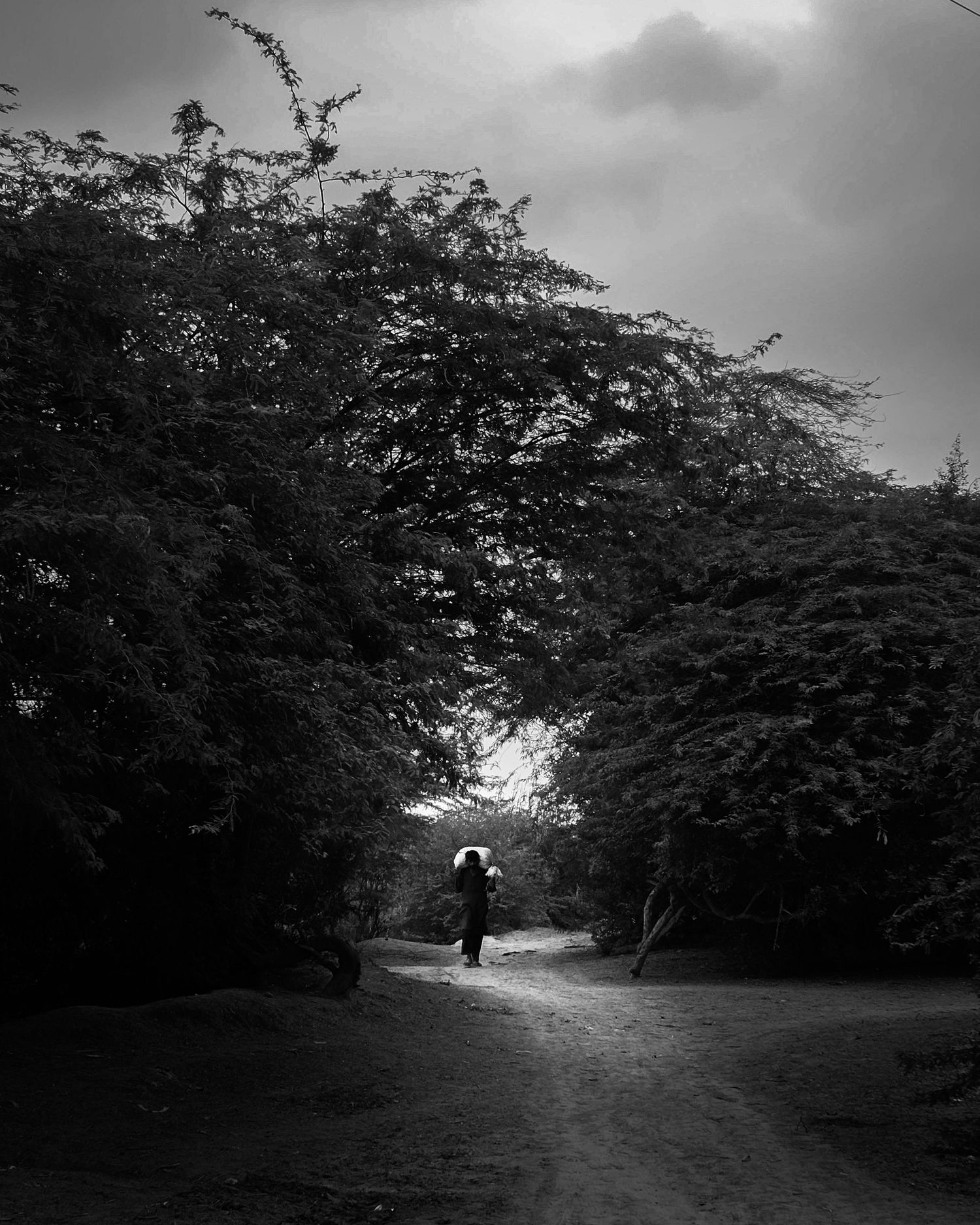 Silhouette of a man.