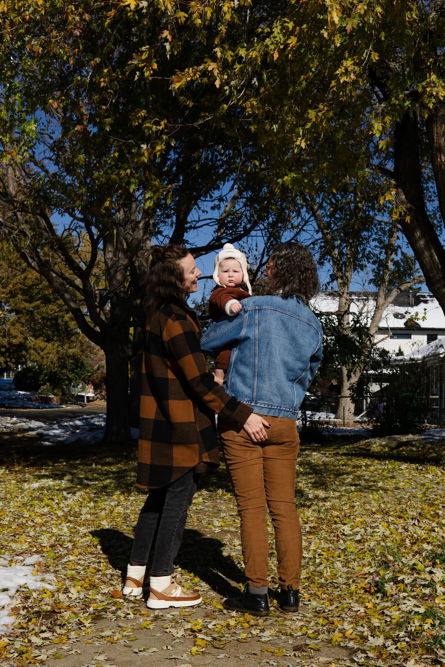 A fall outdoor scene with golden leaves and trees in the background on a sunny day.