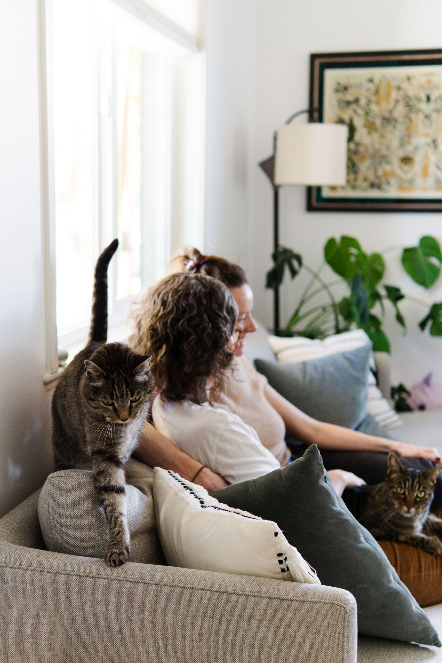 A cozy living room scene with two cats lounging on a beige couch near houseplants and artwork.