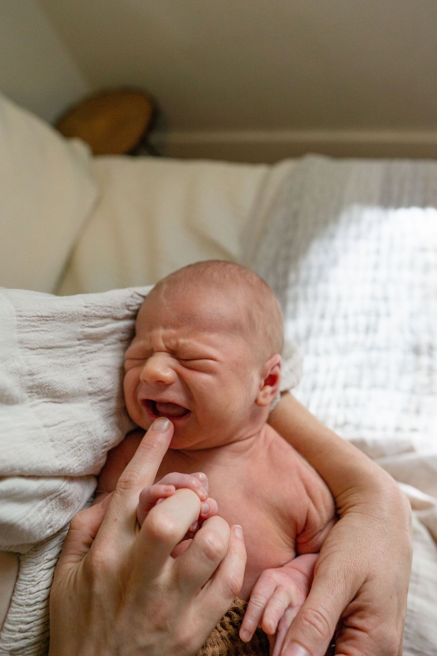 Close-up of tiny newborn hands being gently held against white textured fabric.