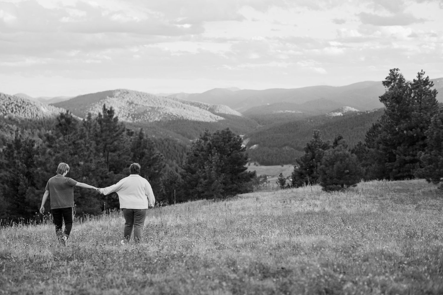 Two people holding hands while walking through a scenic mountain meadow.