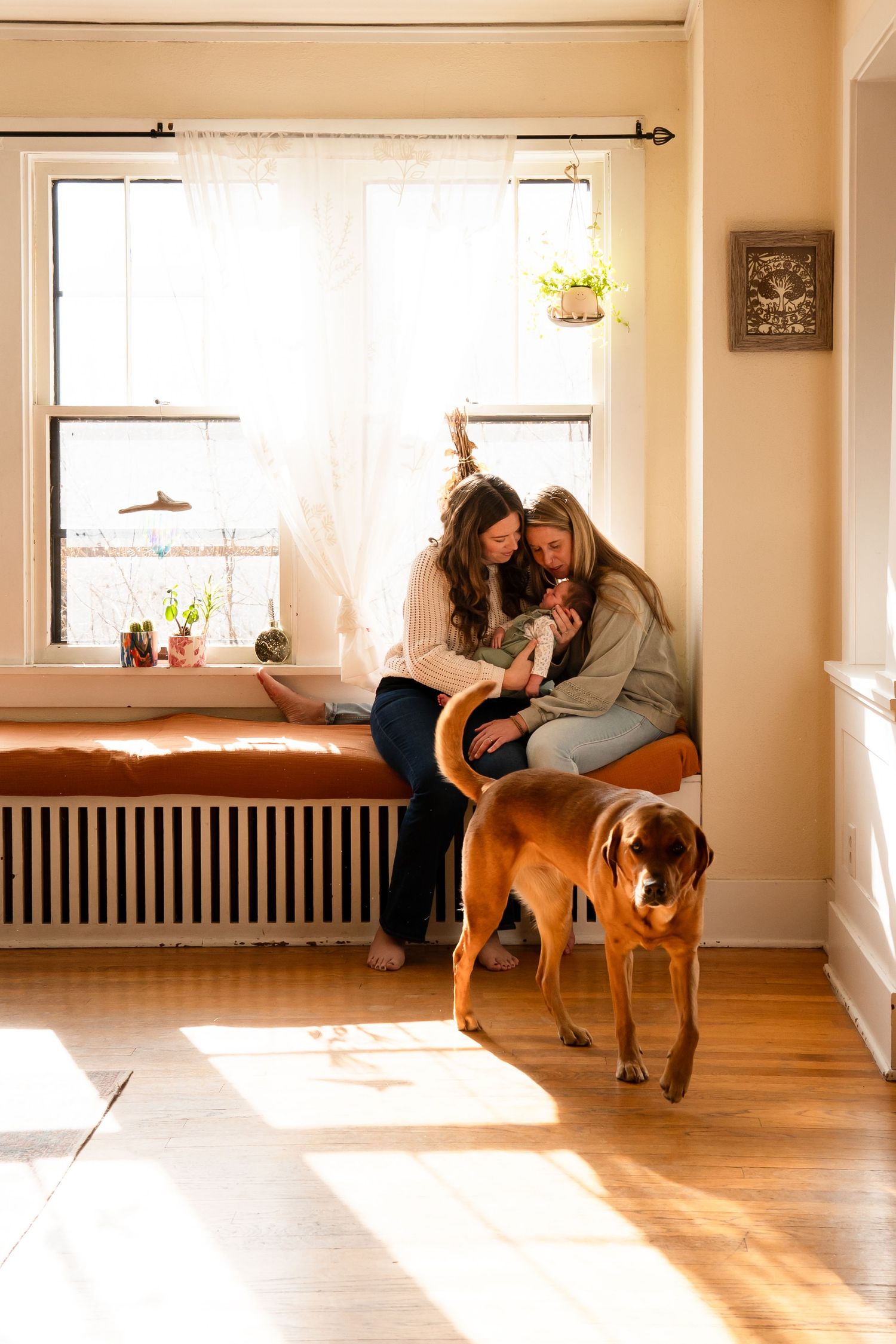 A dog and people lounging in a bright sunlit room with hardwood floors and windows.