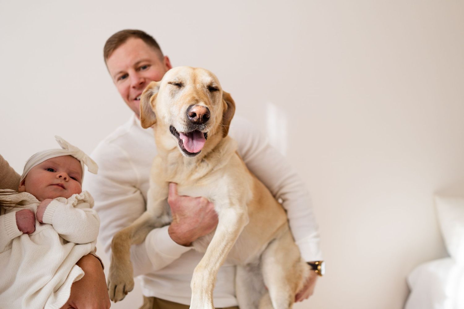 Happy golden retriever playing with family in a bright indoor setting.