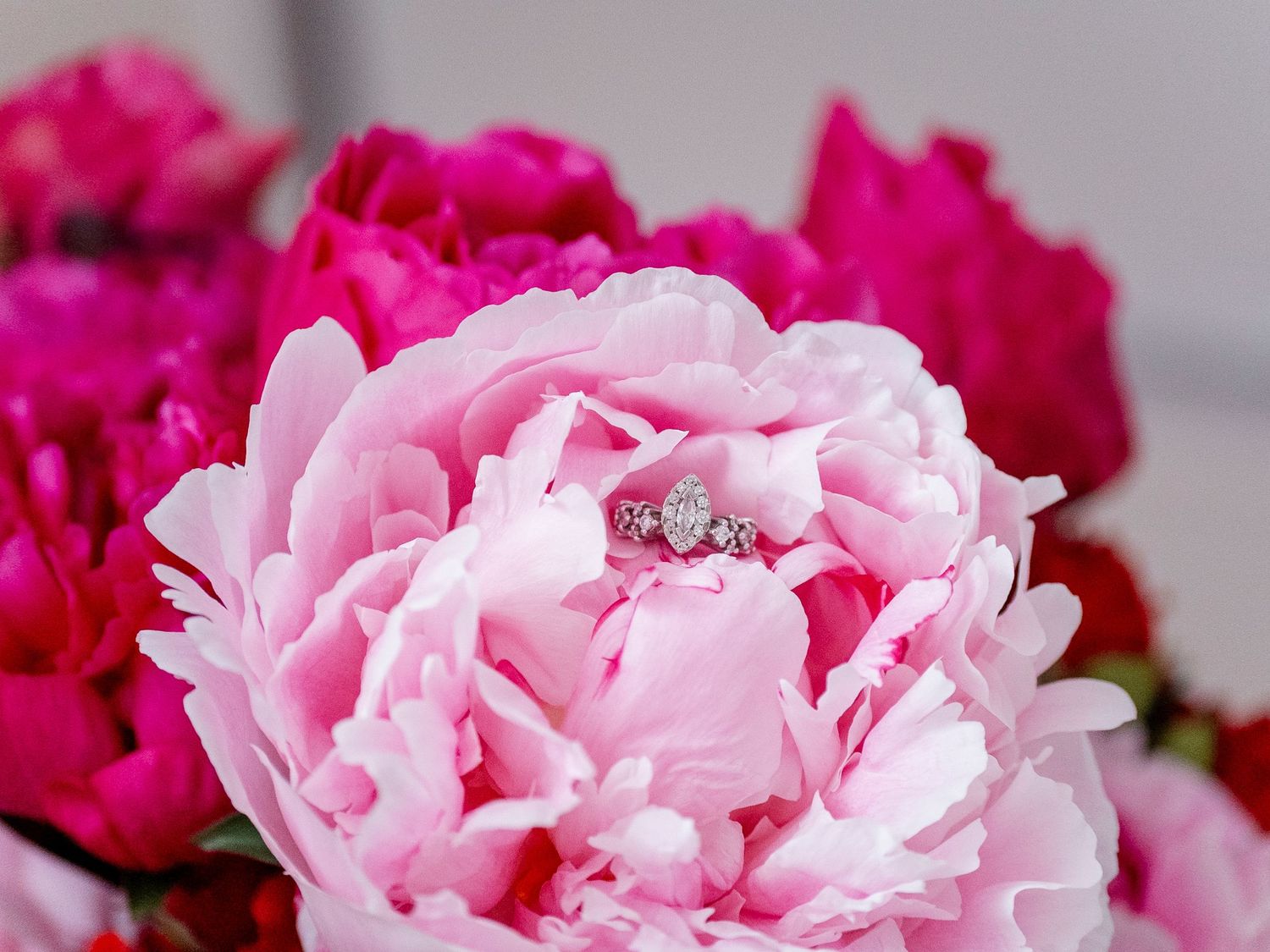 Diamond halo engagement ring resting in the center of a soft pink peony, surrounded by vibrant magenta peonies in the background.