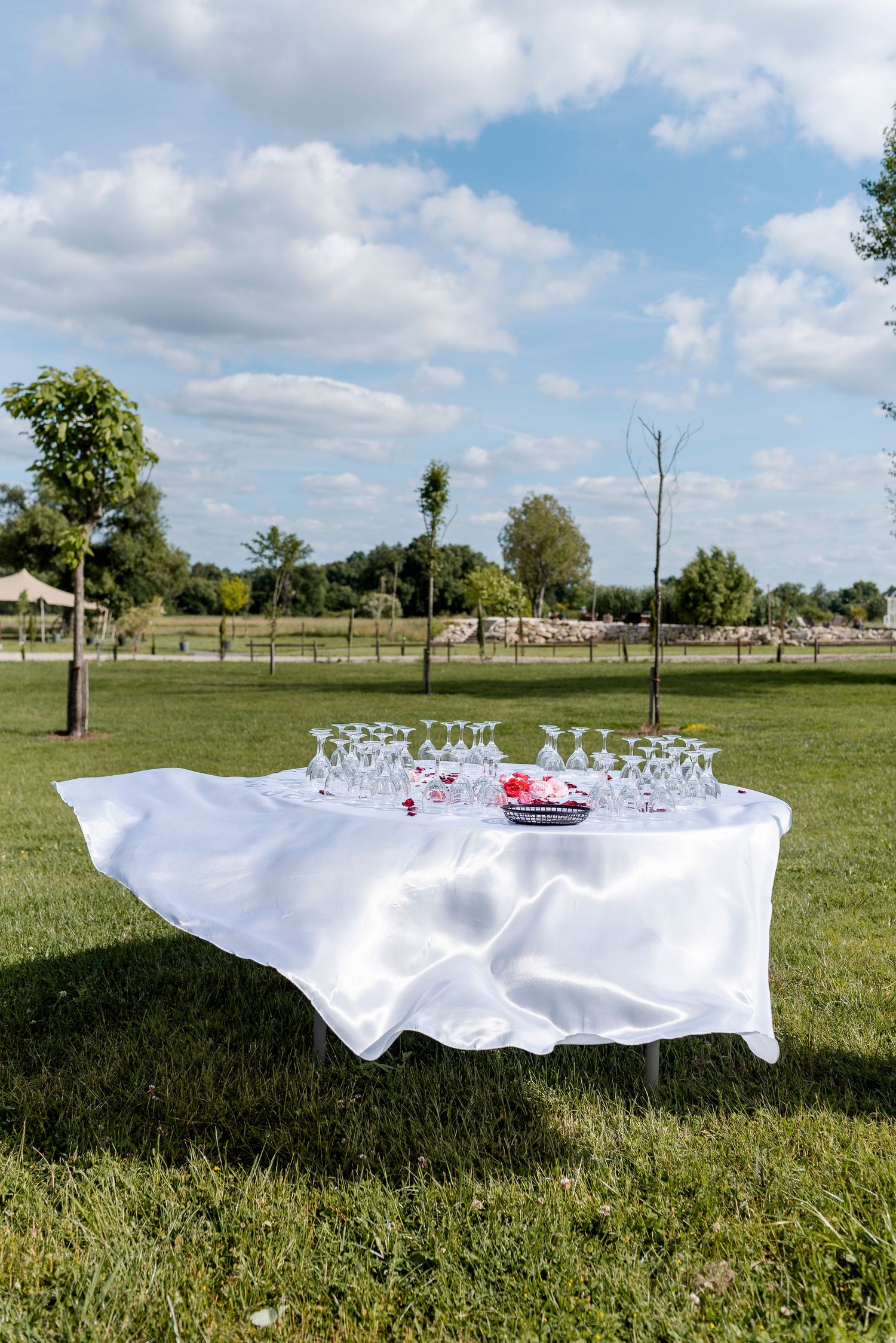White tablecloth billowing in the wind on grassy field under blue sky.
