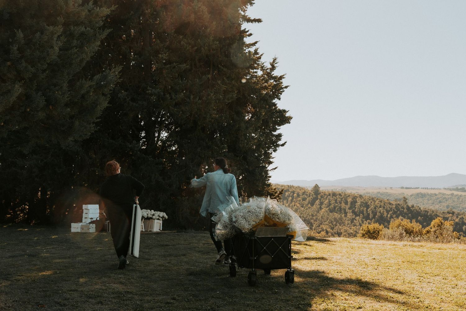Natural outdoor setting with trees and mountains visible in the golden afternoon light.