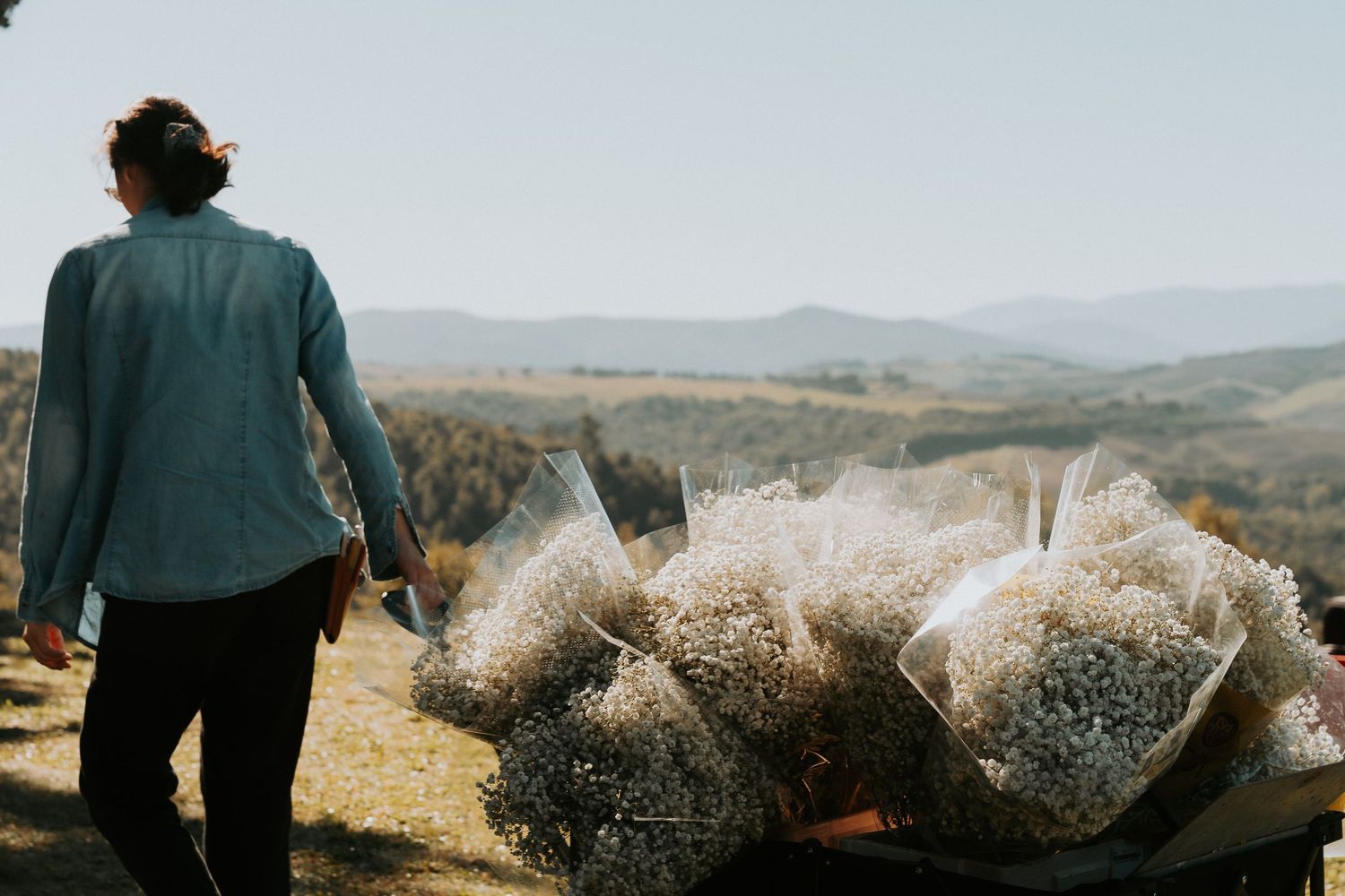 Scenic mountain landscape view with dried pampas grass decorations in the foreground.