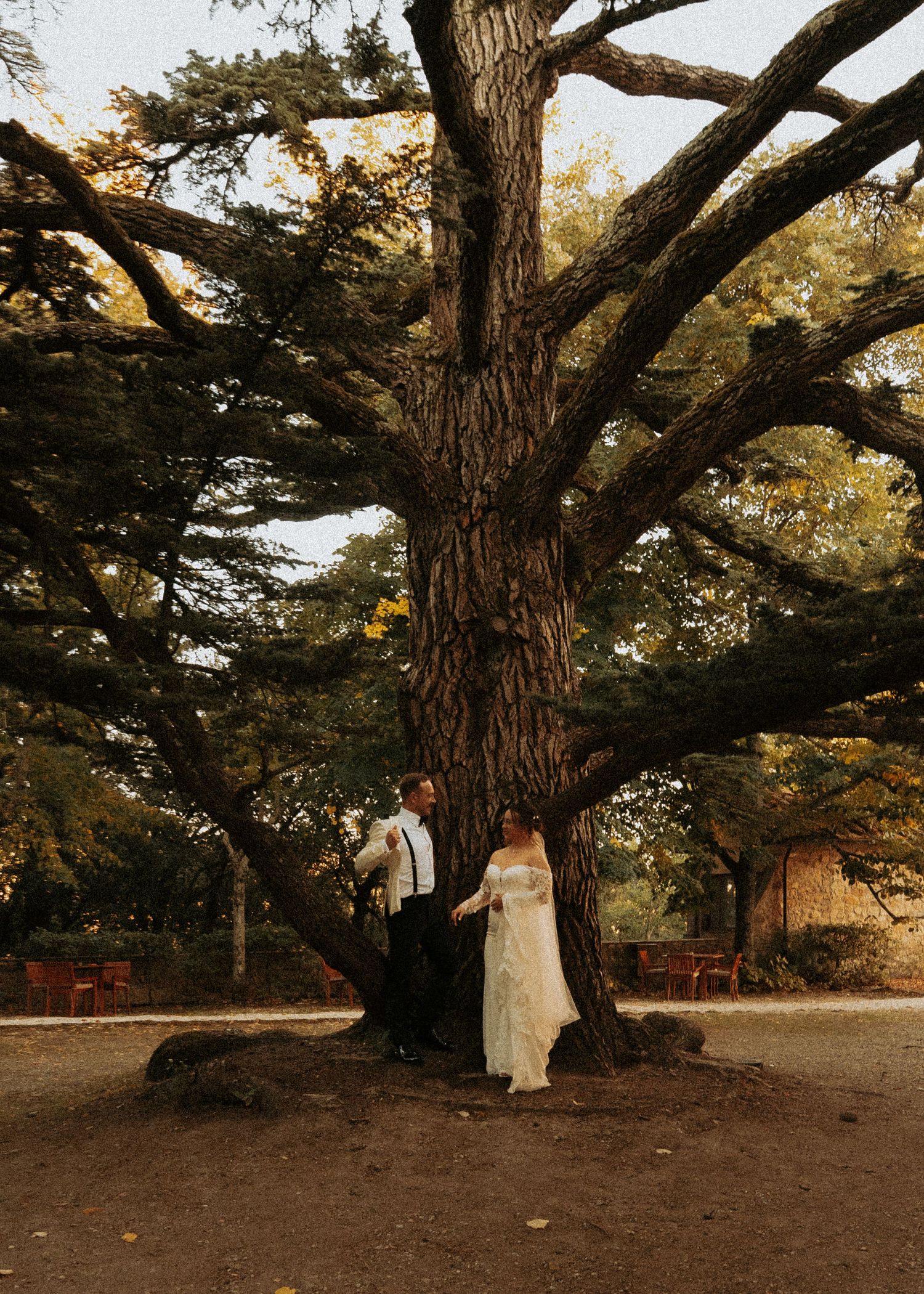 Wedding photos taken under a large majestic tree with sprawling branches in a natural outdoor setting.