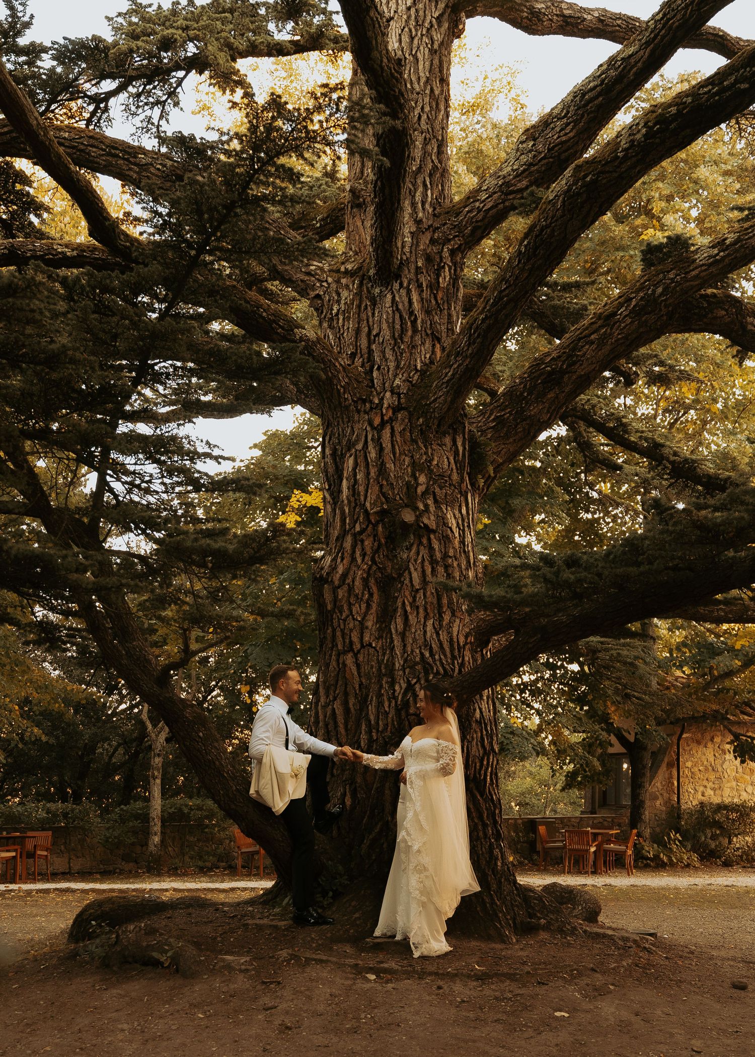 A couple shares an intimate dance beneath a towering ancient tree.