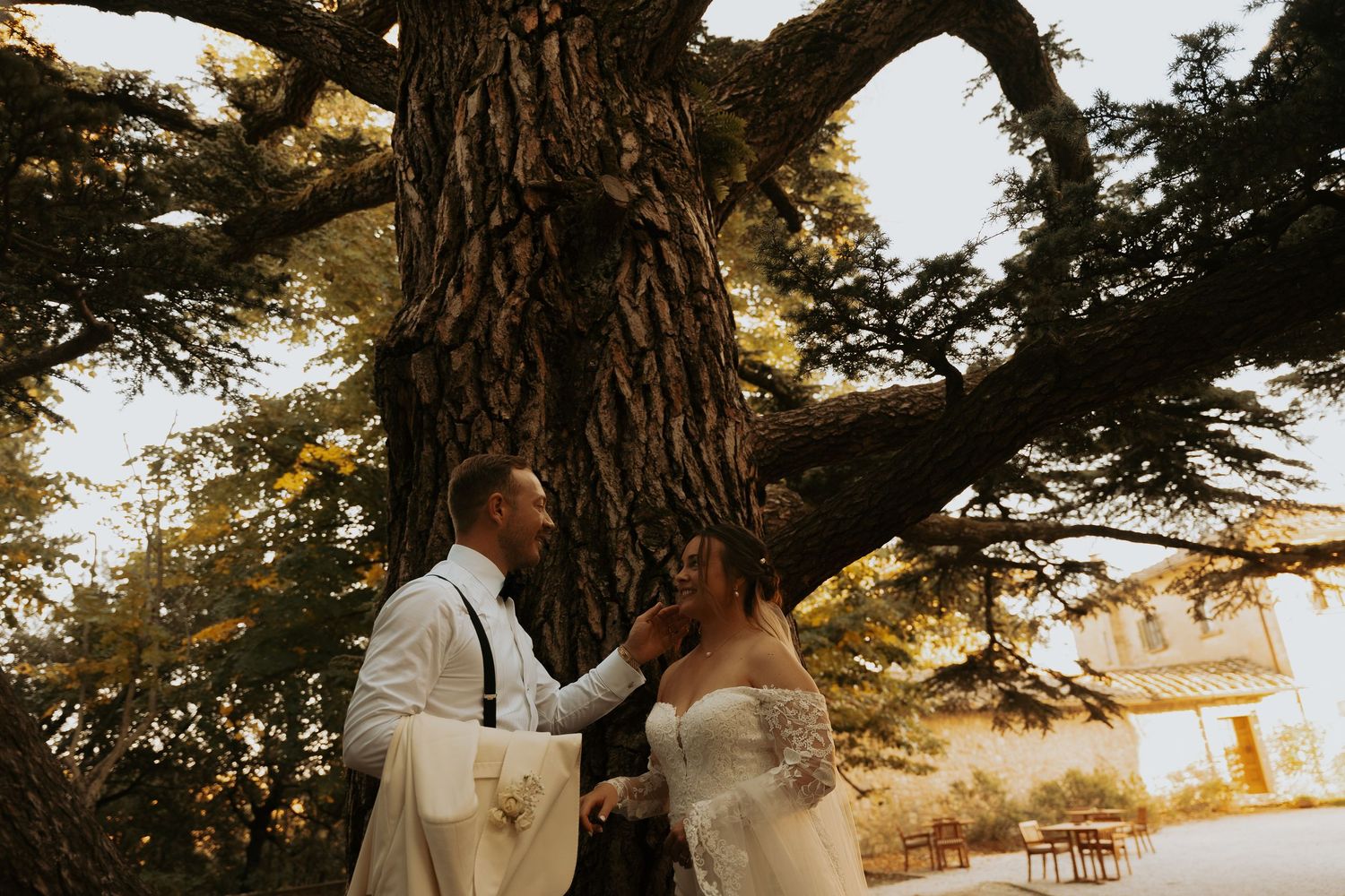 A romantic wedding moment under a majestic old tree at golden hour.