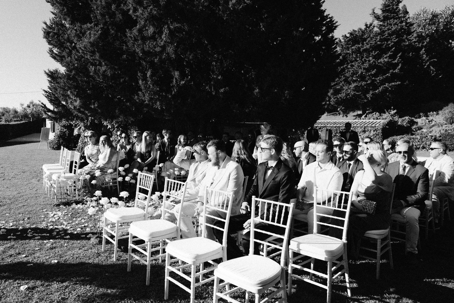 White chairs arranged outdoors for a ceremony under tall pine trees.