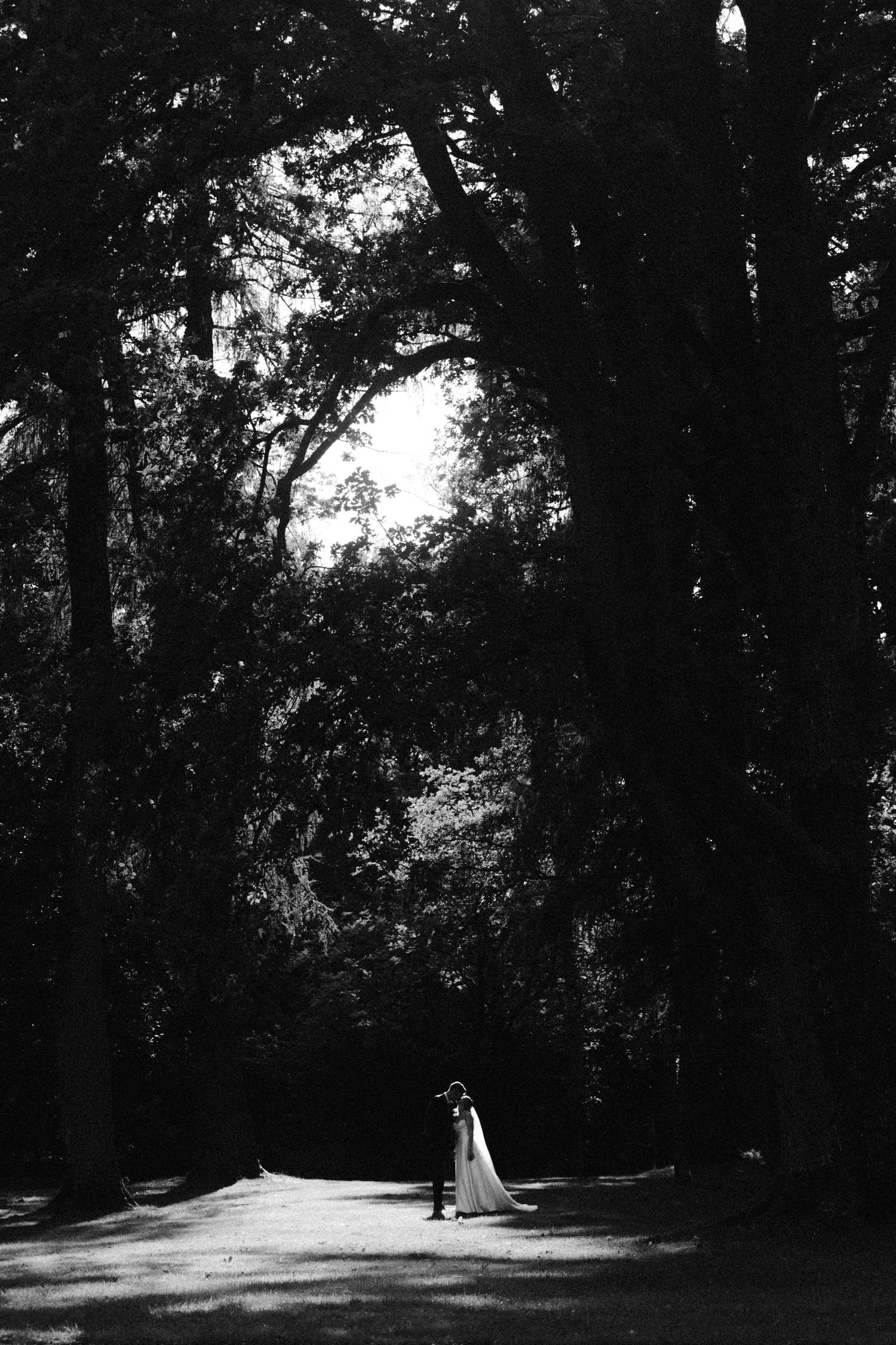 A black and white photo of two people walking together on a sunlit path through a dark, towering forest.