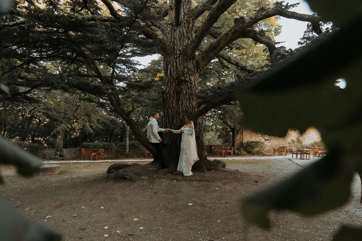 A couple shares a romantic moment beneath a majestic tree in a dreamy outdoor setting.