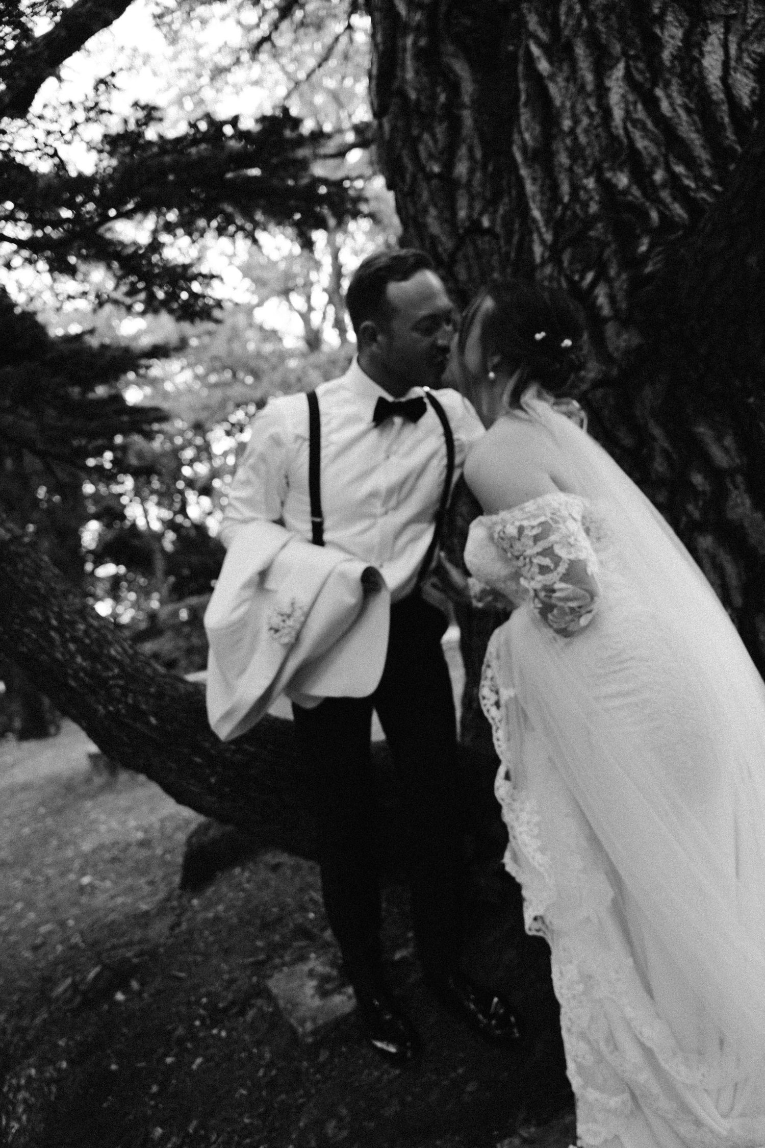 Artistic black and white wedding photo taken under a large tree.
