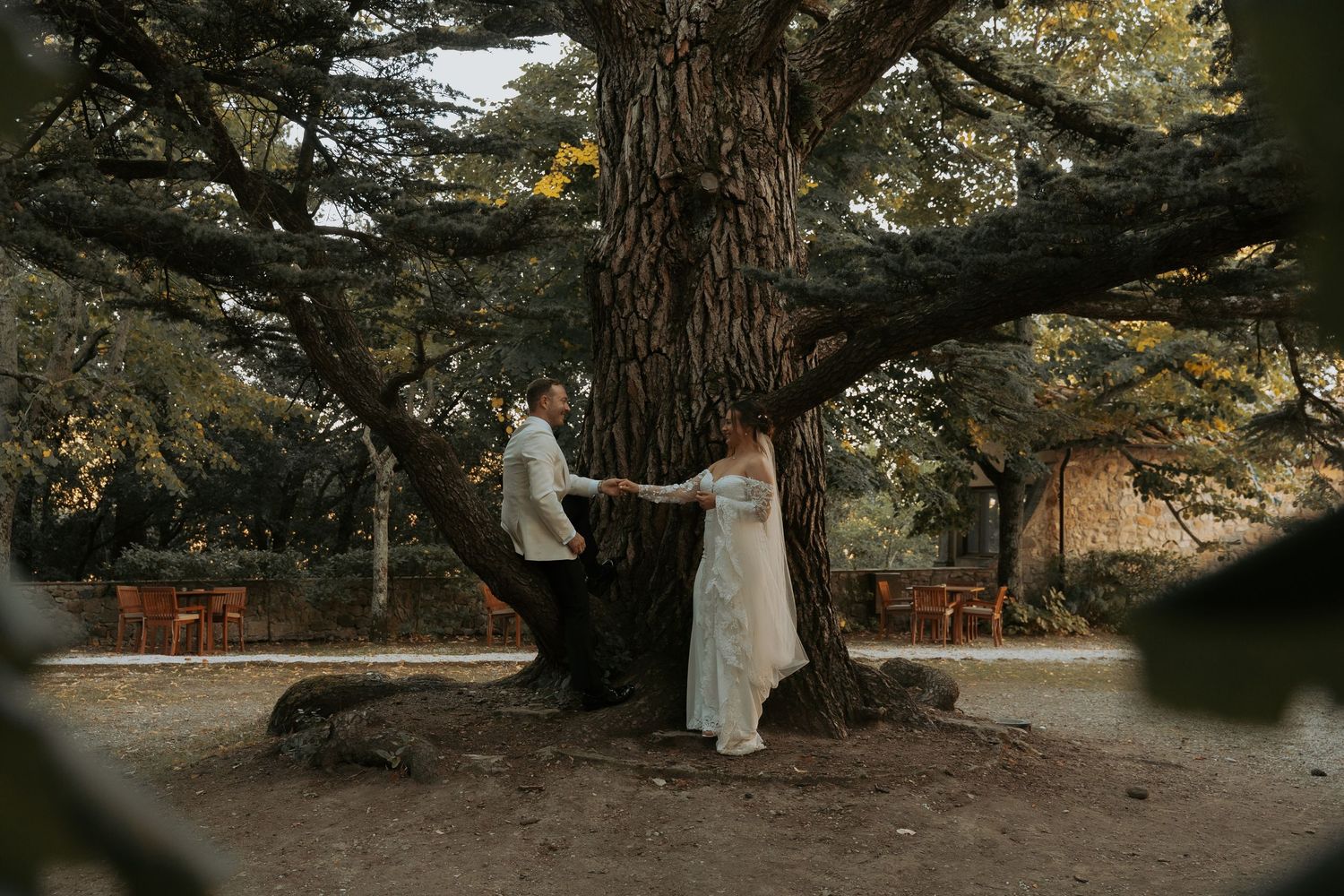 A romantic wedding photoshoot under the sprawling branches of an ancient tree.