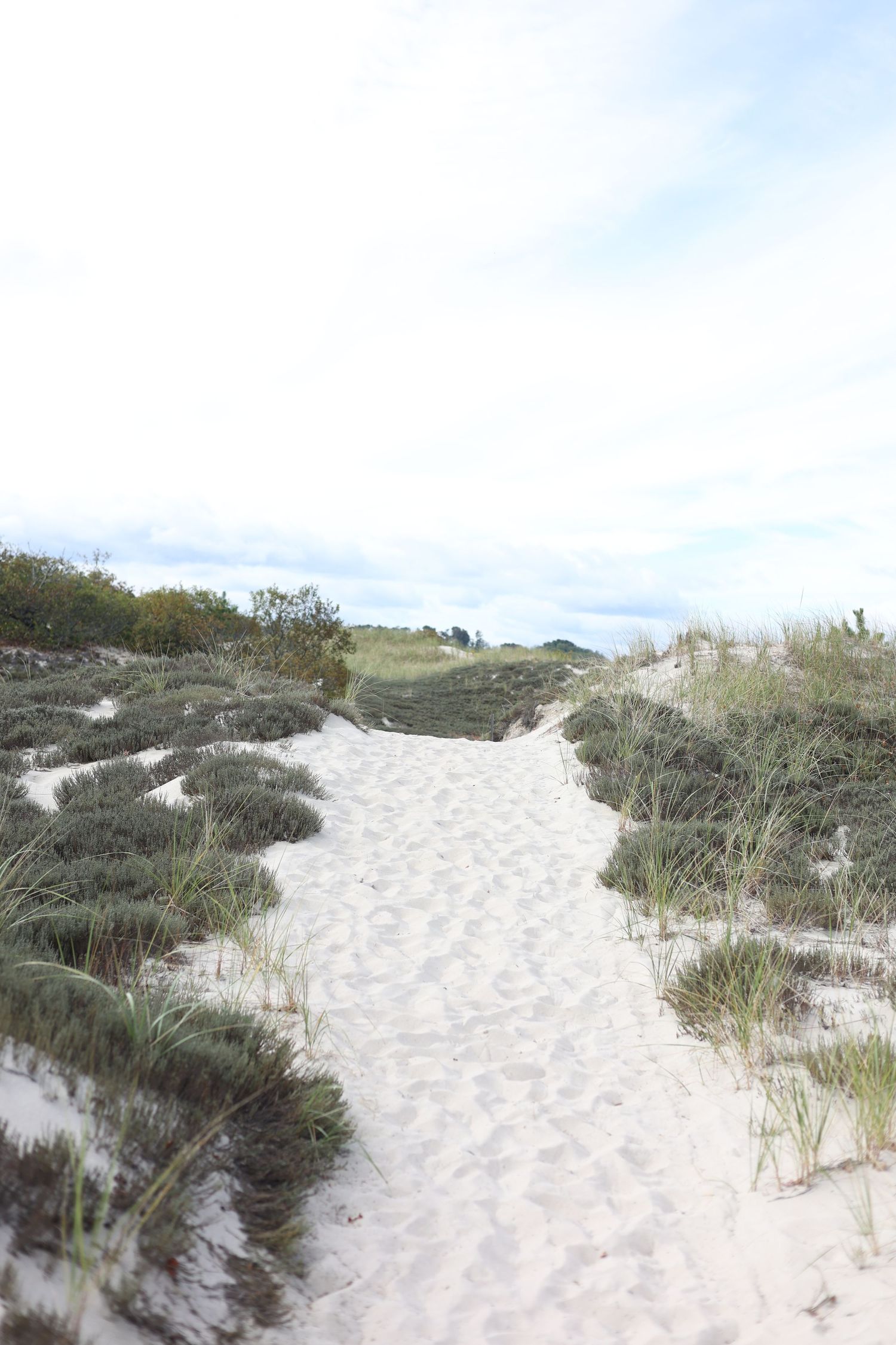 A sandy path winds through coastal dunes with beach grass and vegetation under a cloudy sky. crane beach ipswich massachusetts