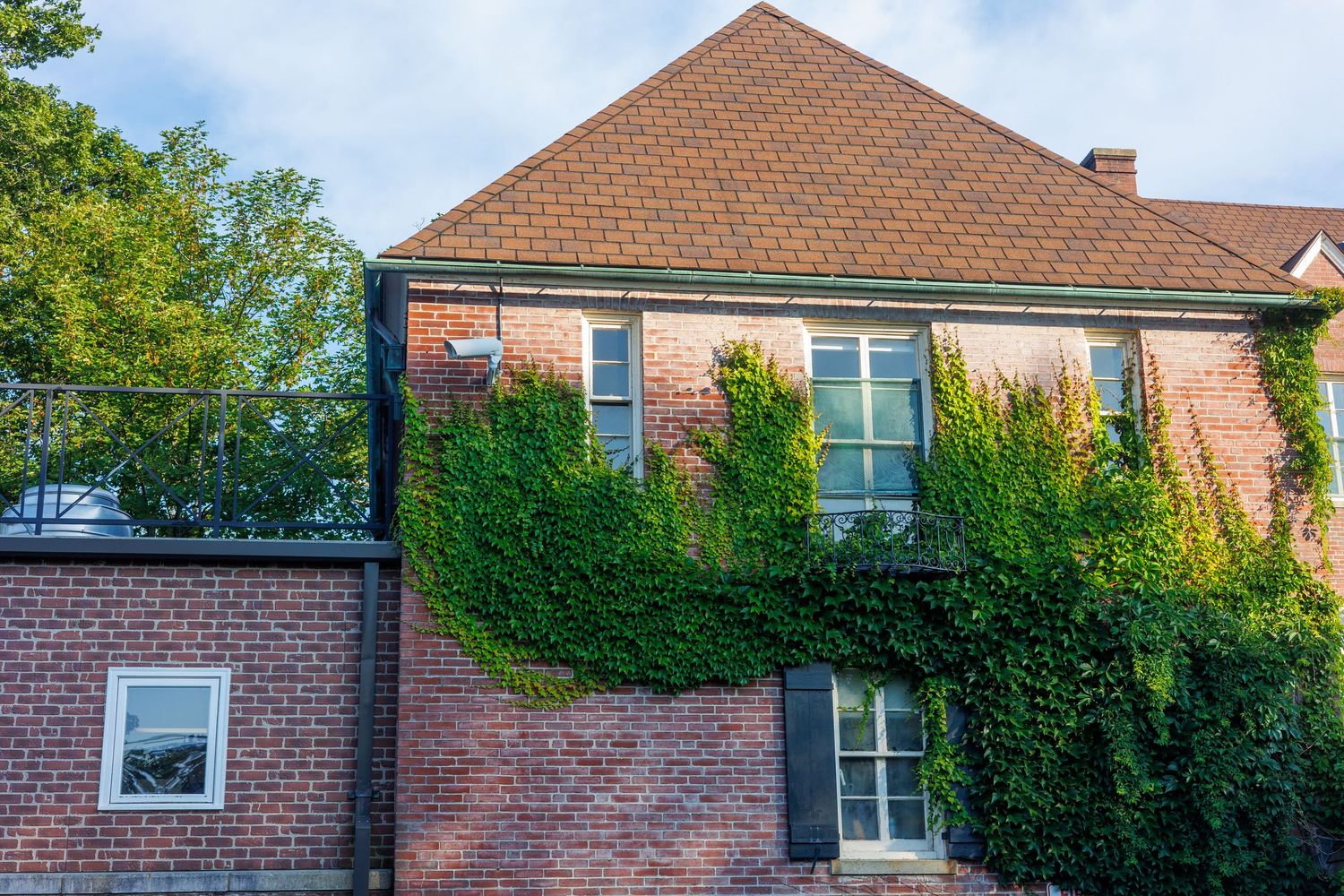 Brick house exterior with green ivy growing up the walls and a brown hip roof against blue sky. north shore massachusetts