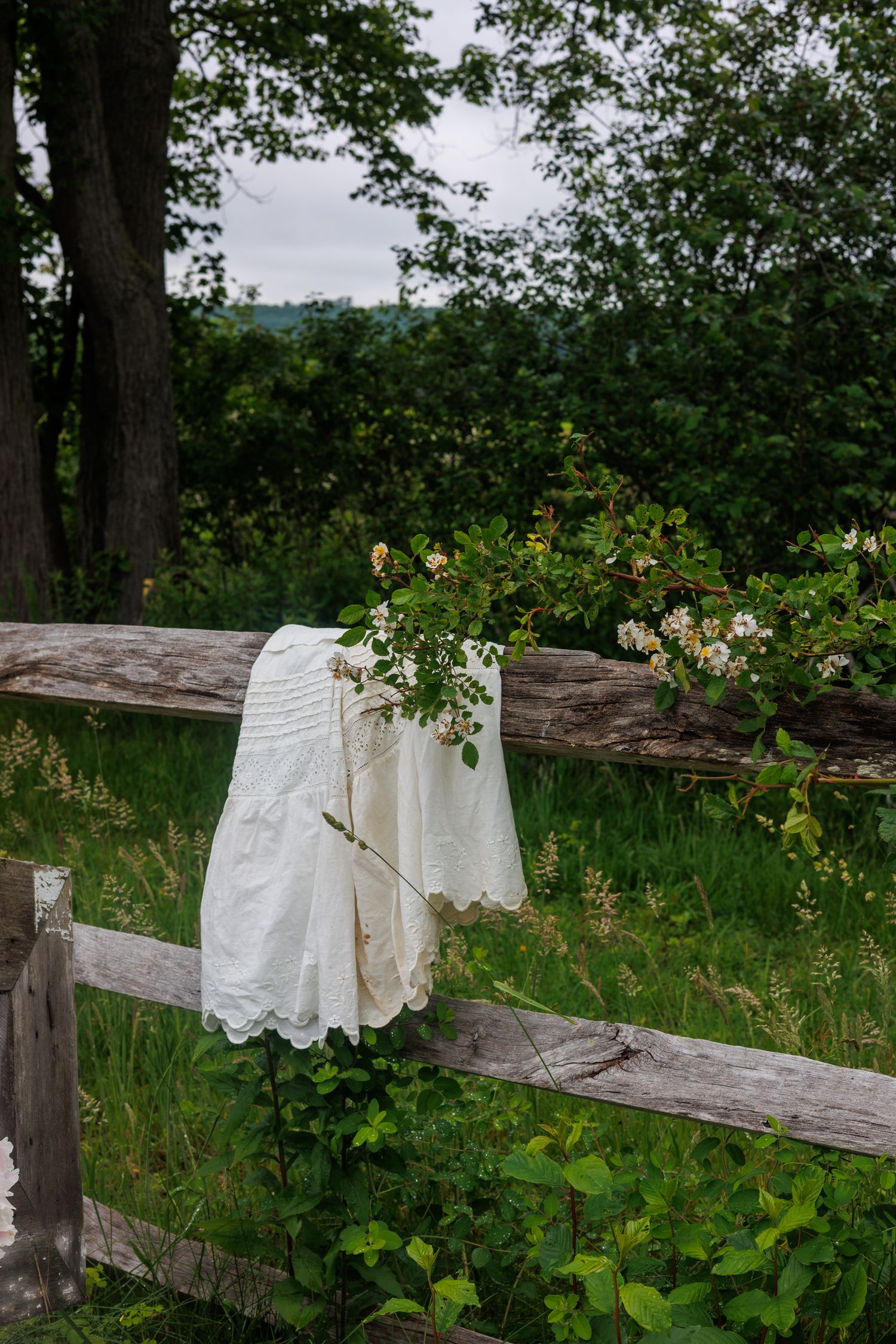 White vintage lace dresses hang on a rustic wooden fence in a lush green meadow setting. north shore massachusetts