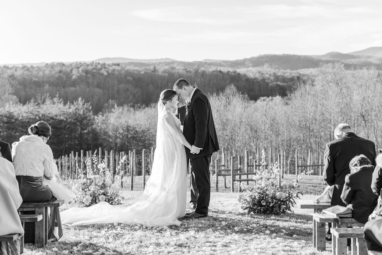 Scenic mountain landscape with rolling hills and trees in black and white at Serre Vineyards with NC wedding photographer