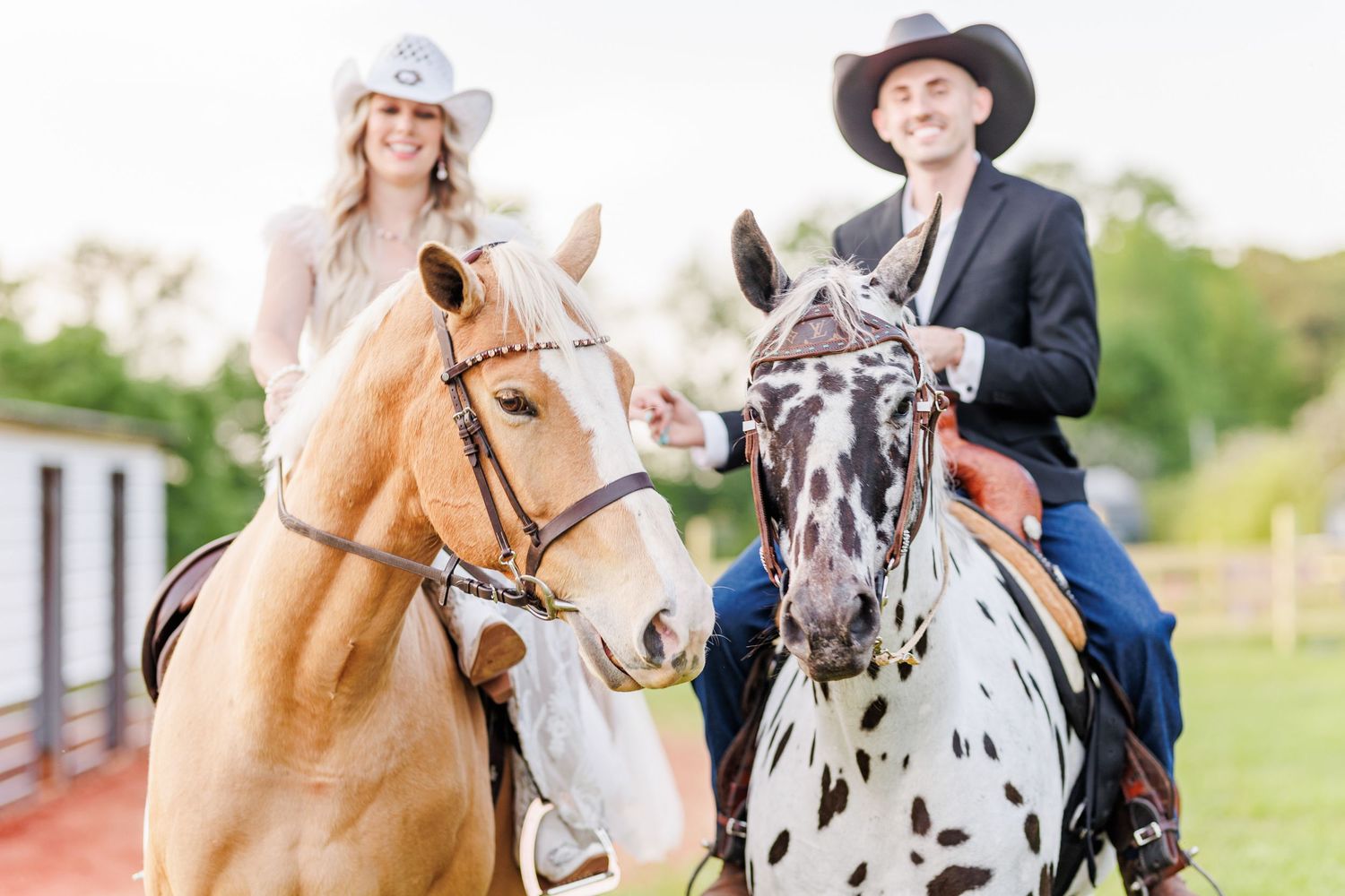 A wedding party rides horses together on a sunny day, with both spotted and brown horses in Charlotte NC