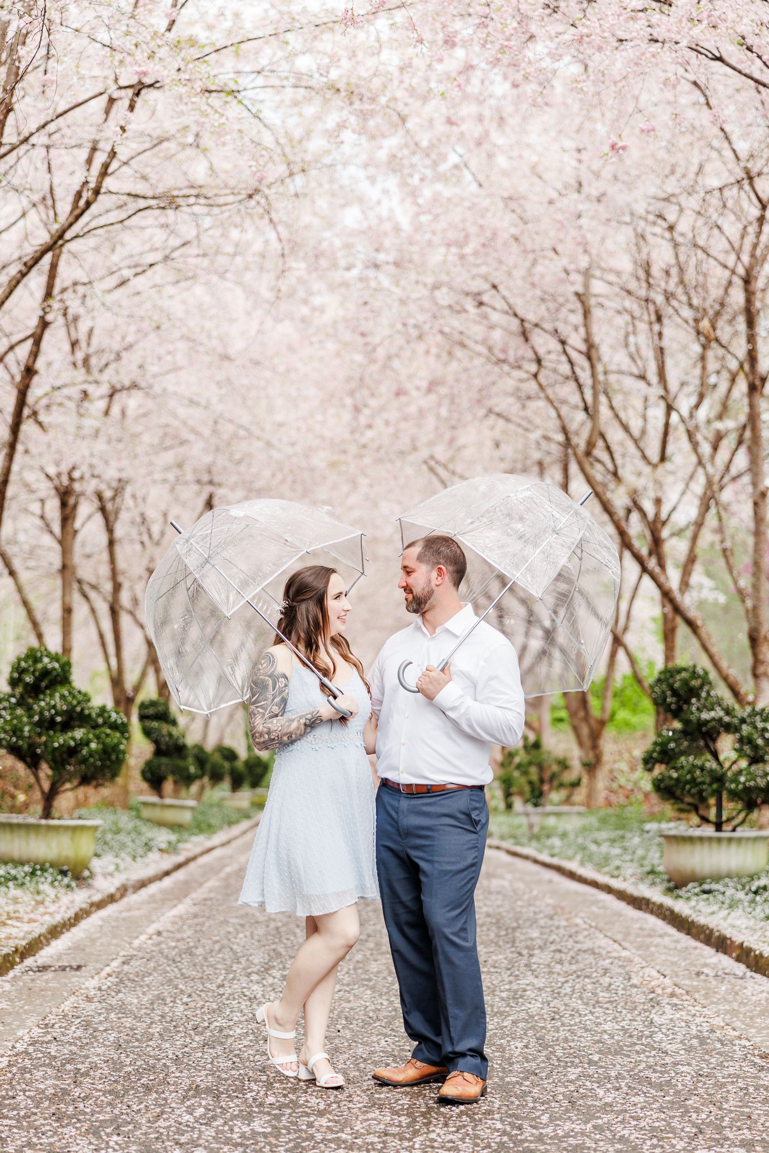 Couple dancing beneath pink cherry blossom trees along a gravel pathway.