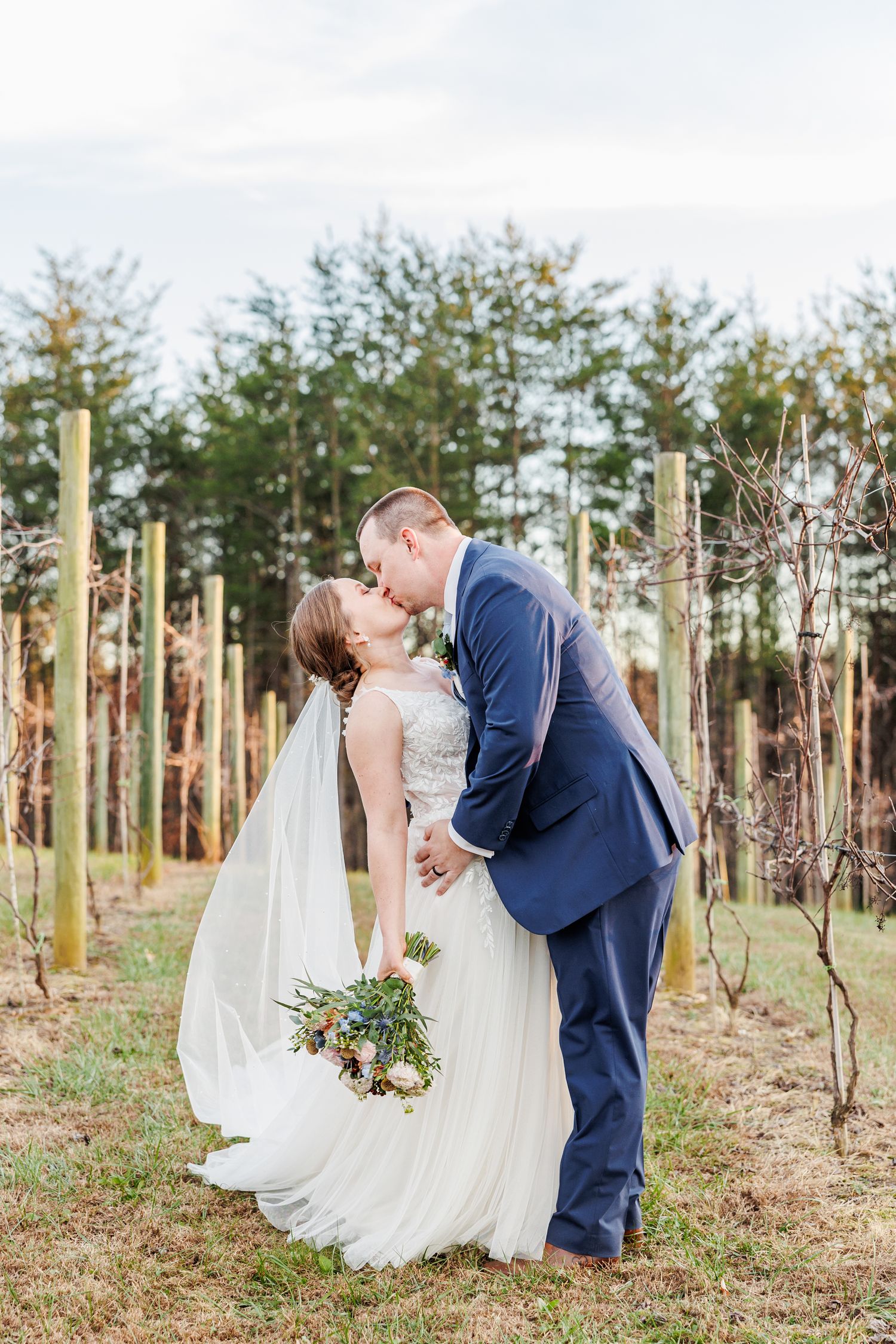 Romantic wedding moment captured in a vineyard with pine trees in the background.