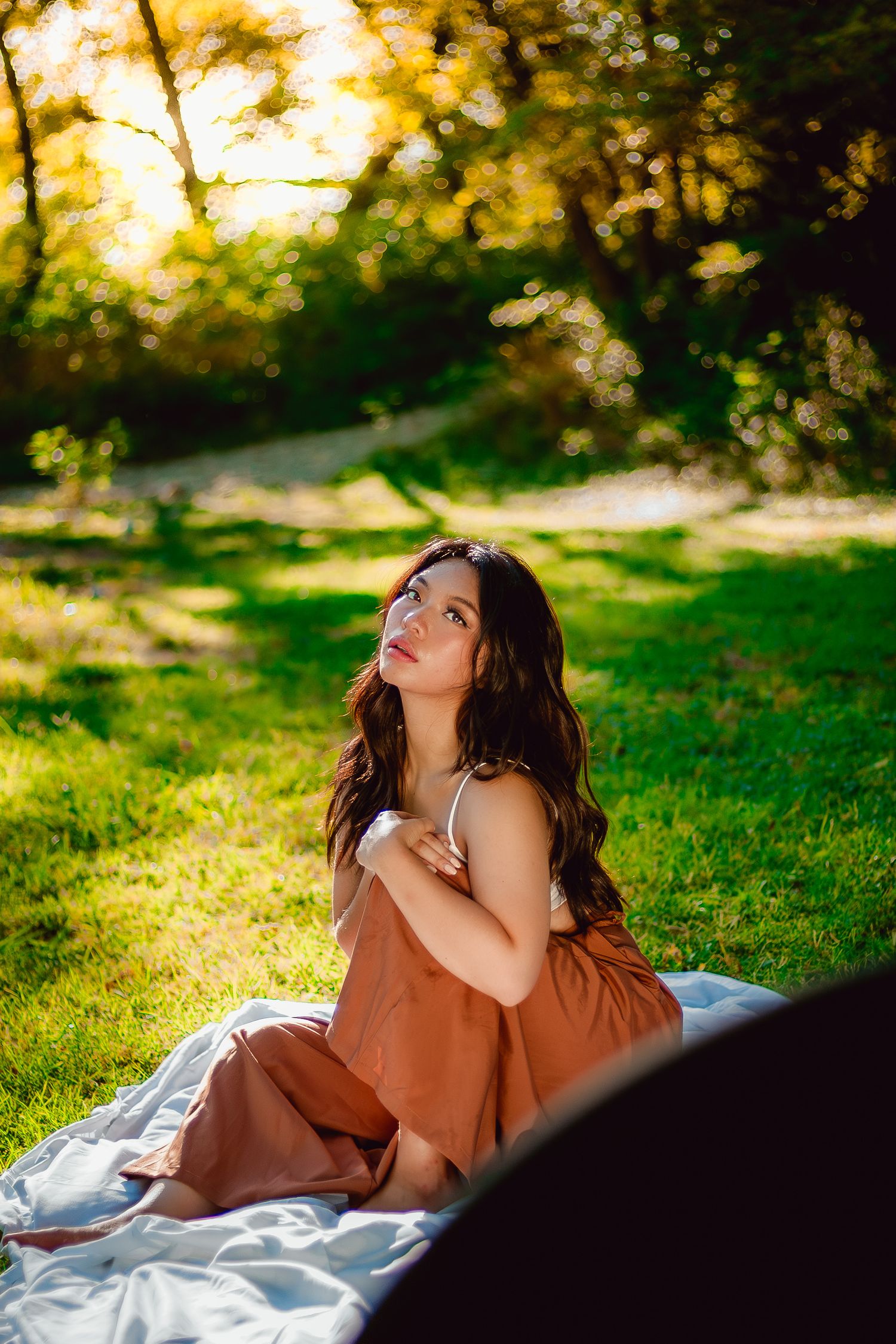 Young woman in rust dress sits on blanket in sunlit green park, gazing upward dreamily.