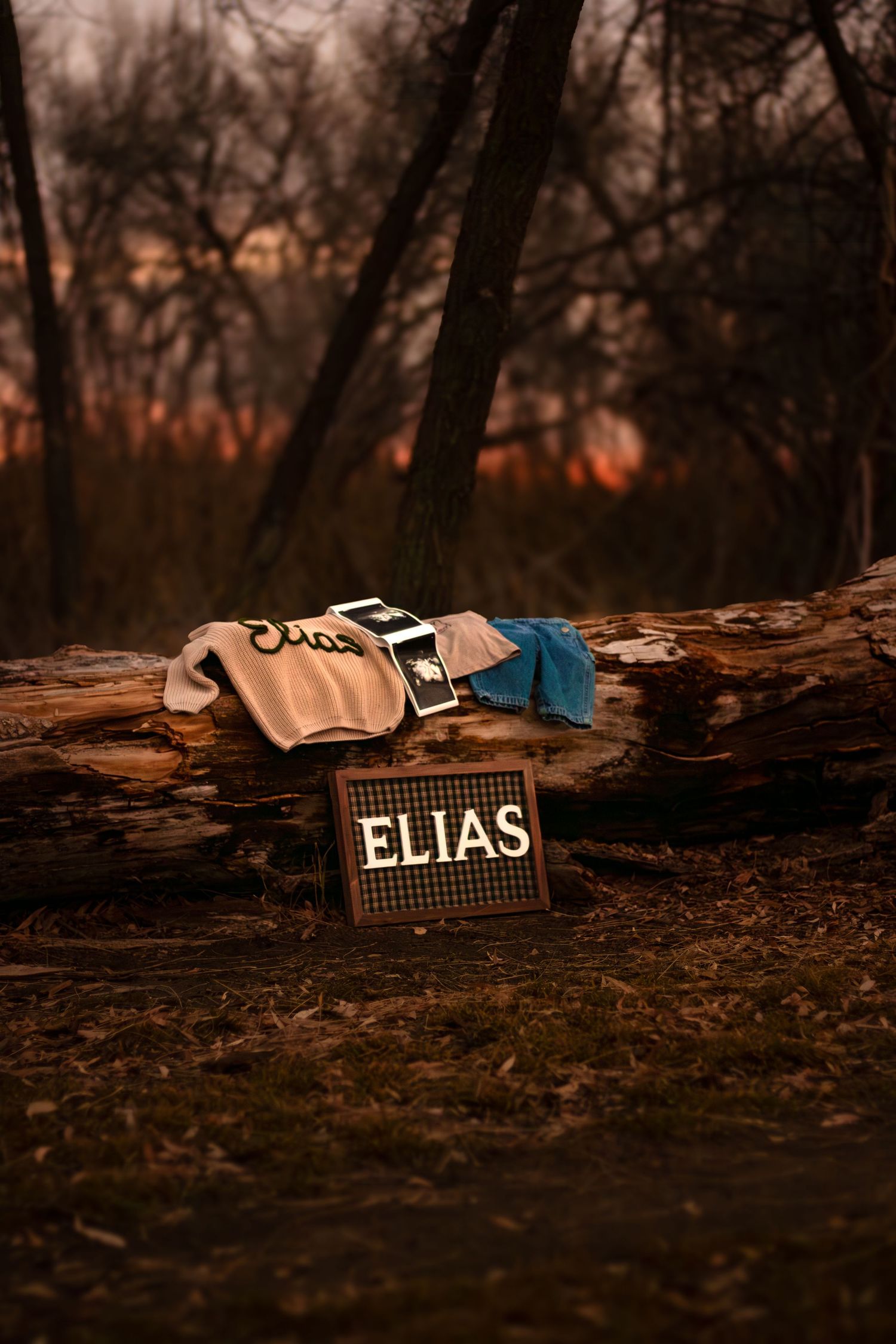 Sign spelling ELIAS with clothing on a log in a moody forest at dusk.
