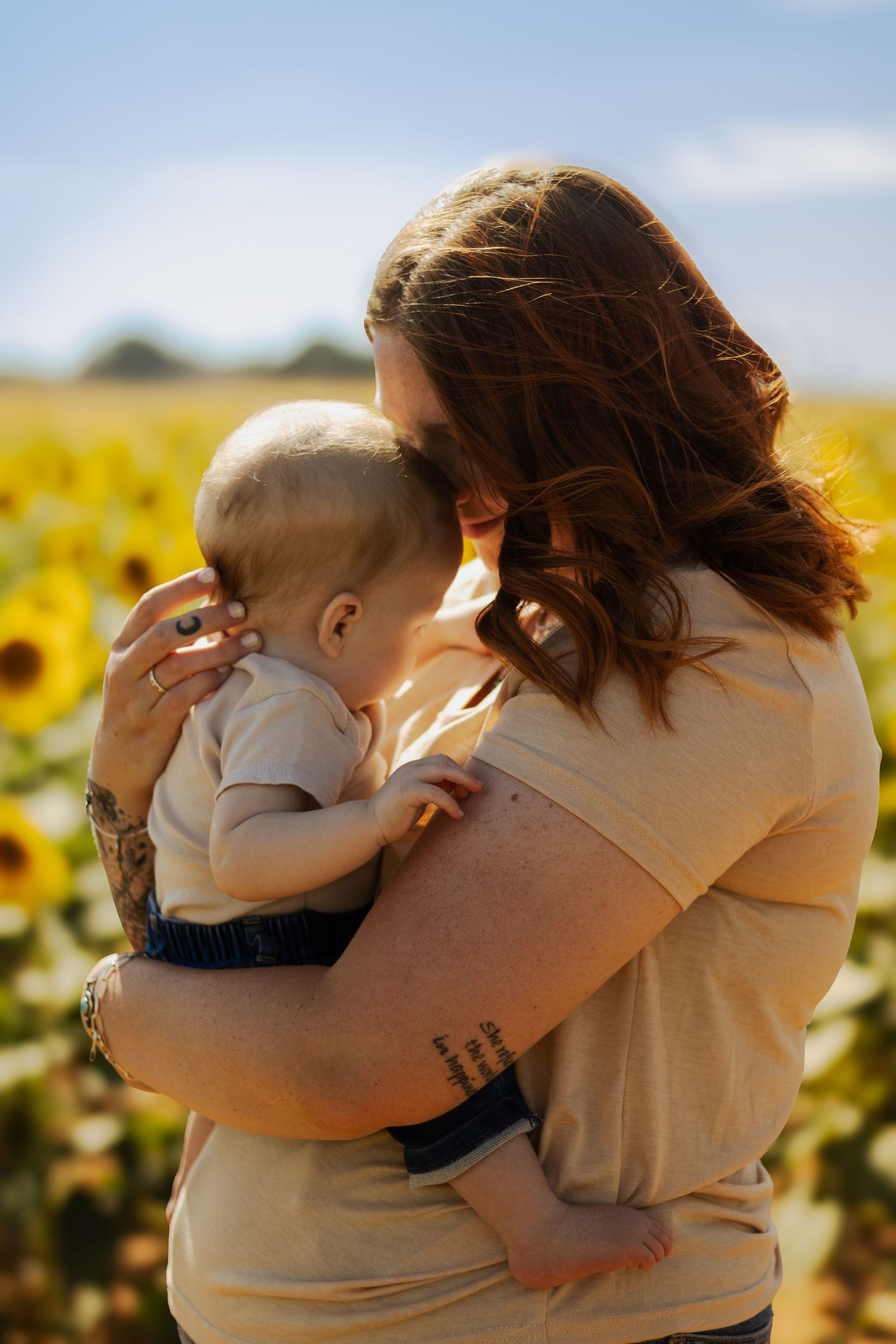 Sunflower shoot in Odessa, Texas